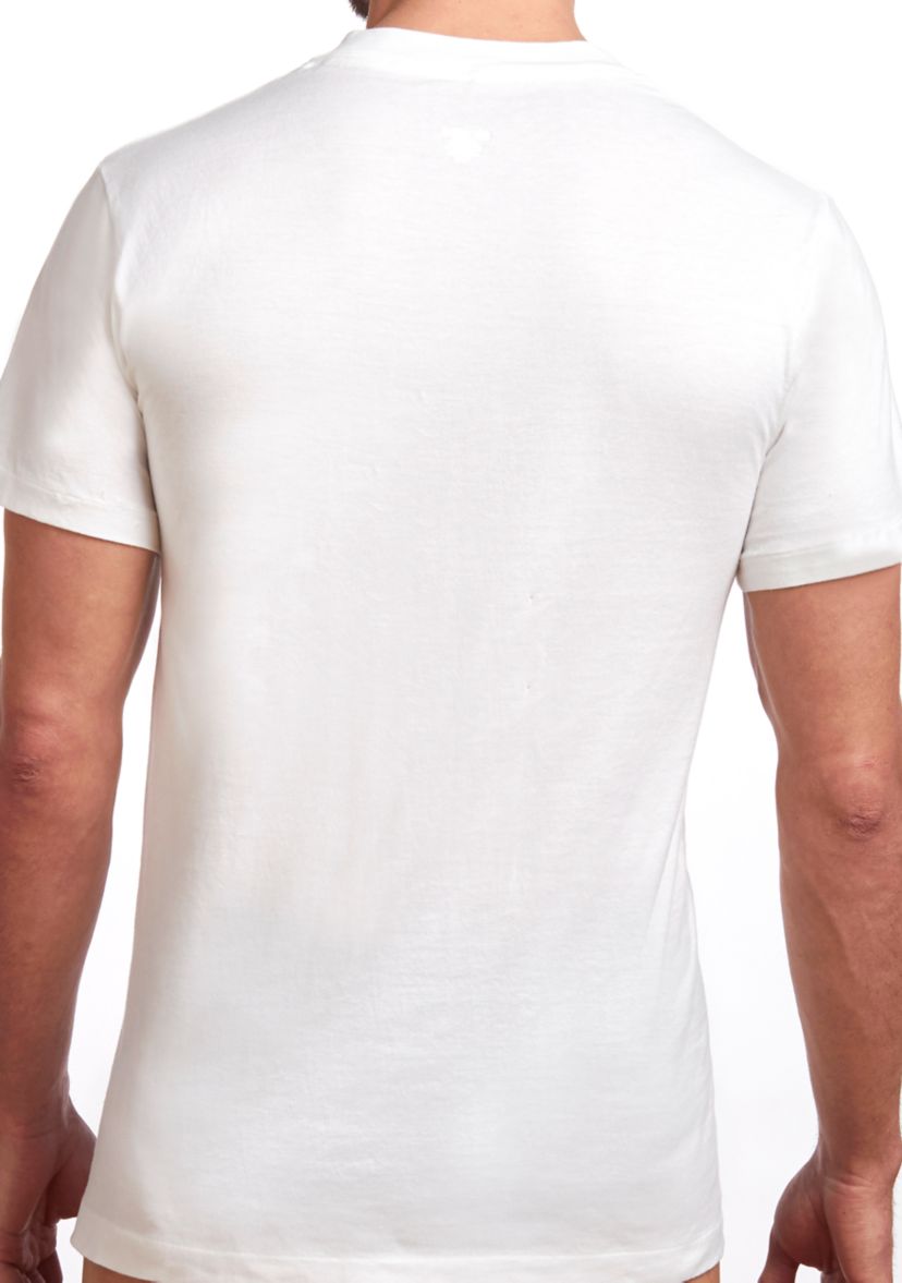 Big & Tall Premium 100% Cotton V-Neck T-Shirt- 2 Pack