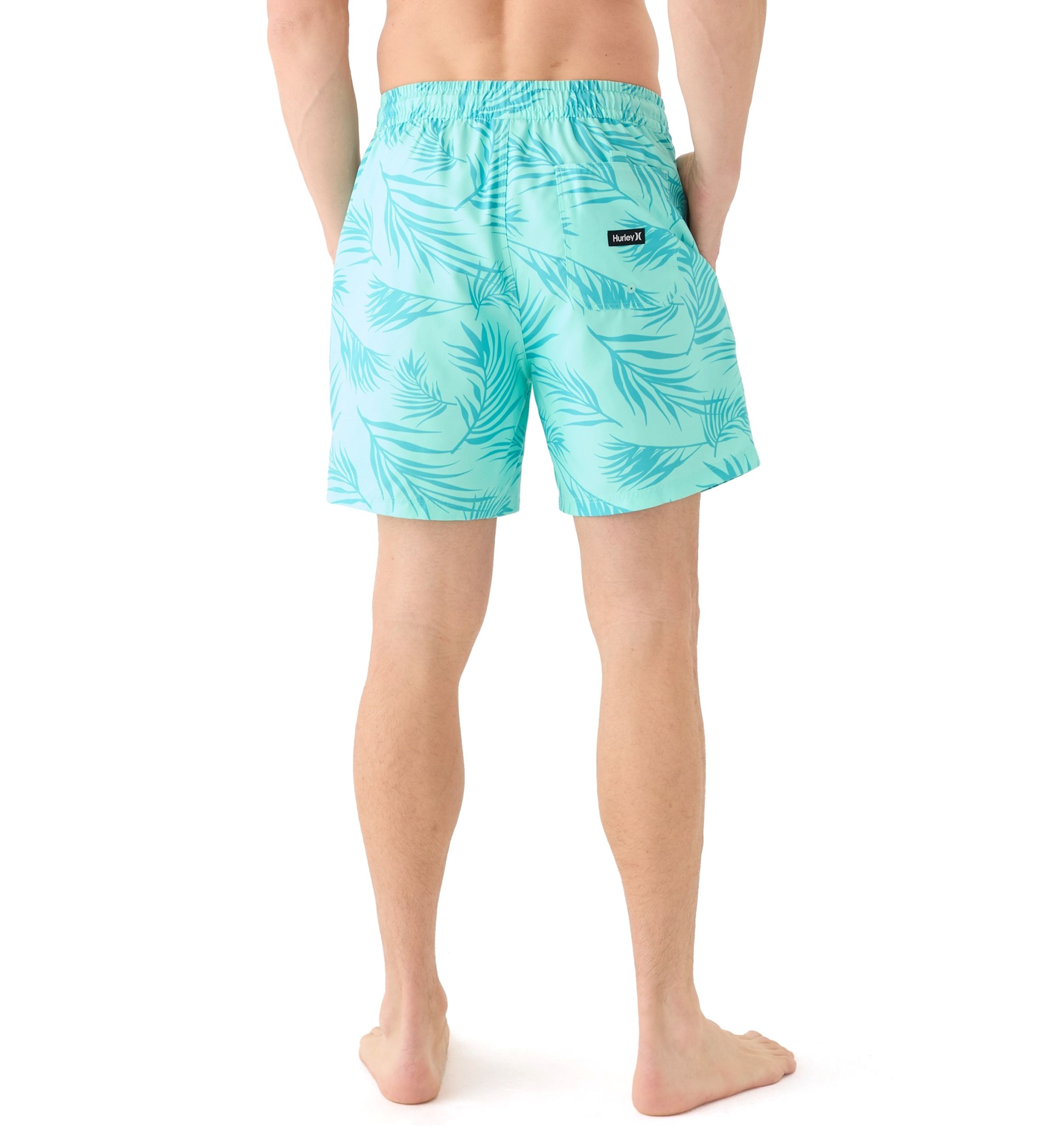 Icon Balboa 17 Volley Swim Trunks