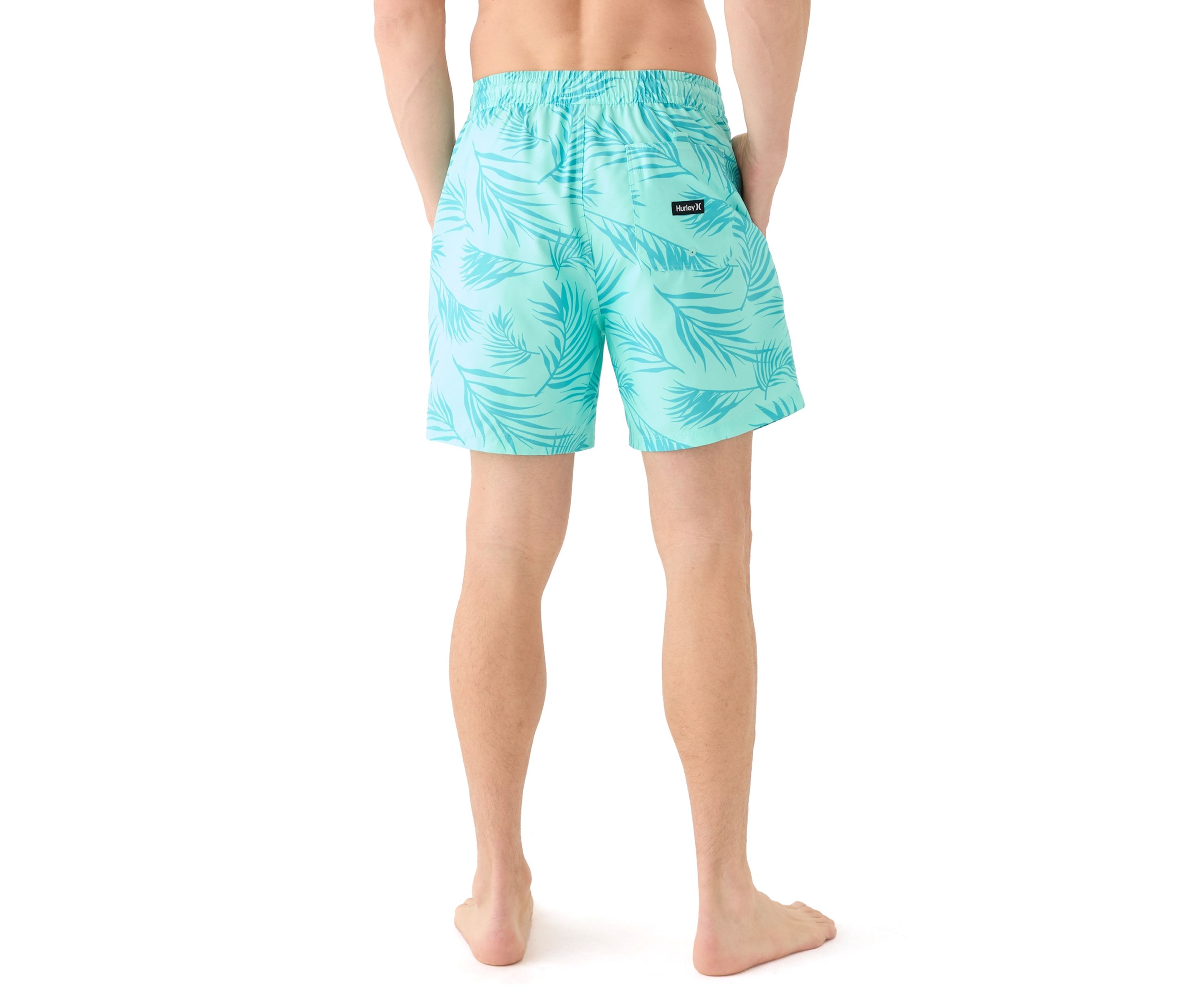 Icon Balboa 17 Volley Swim Trunks