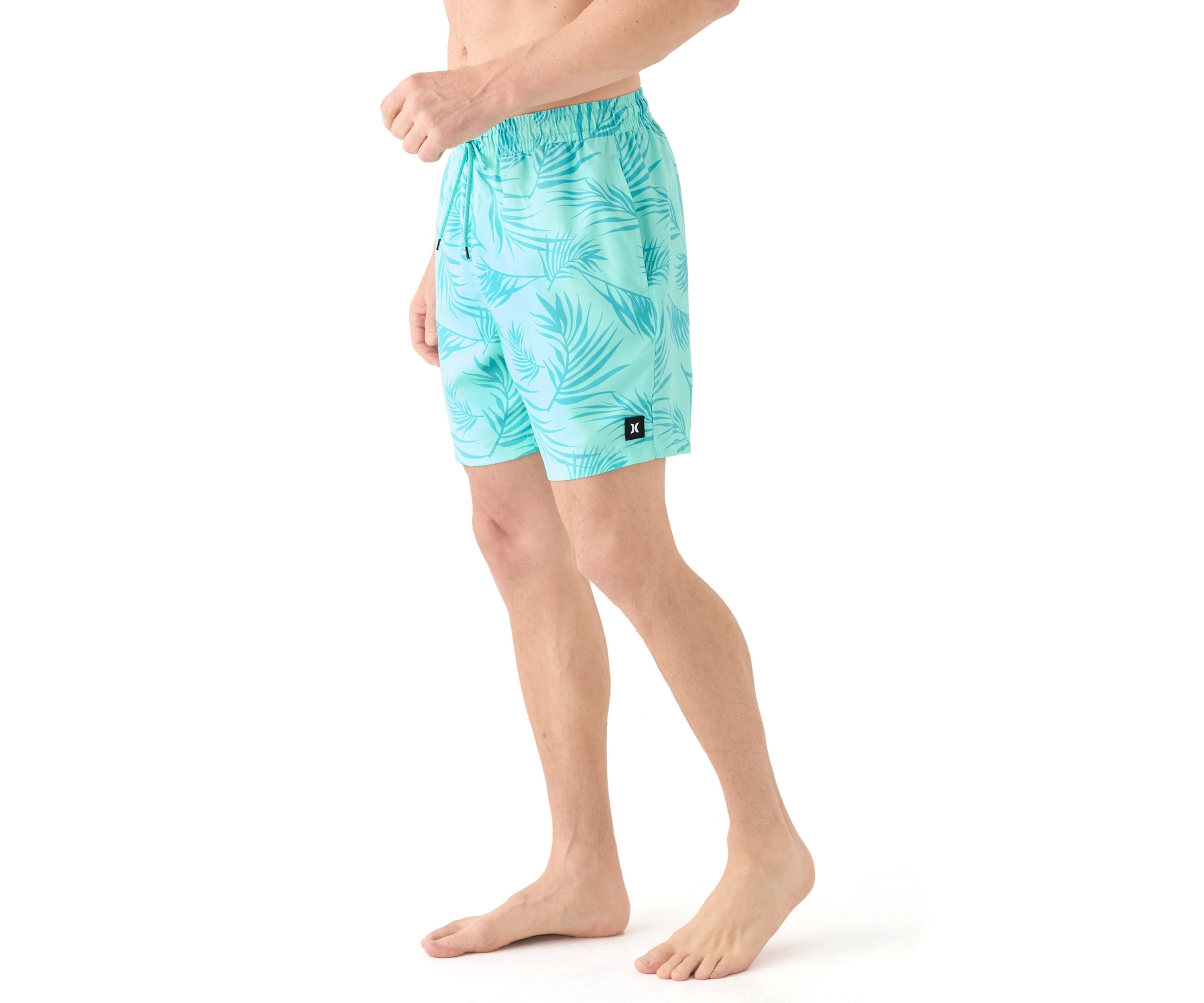 Icon Balboa 17 Volley Swim Trunks