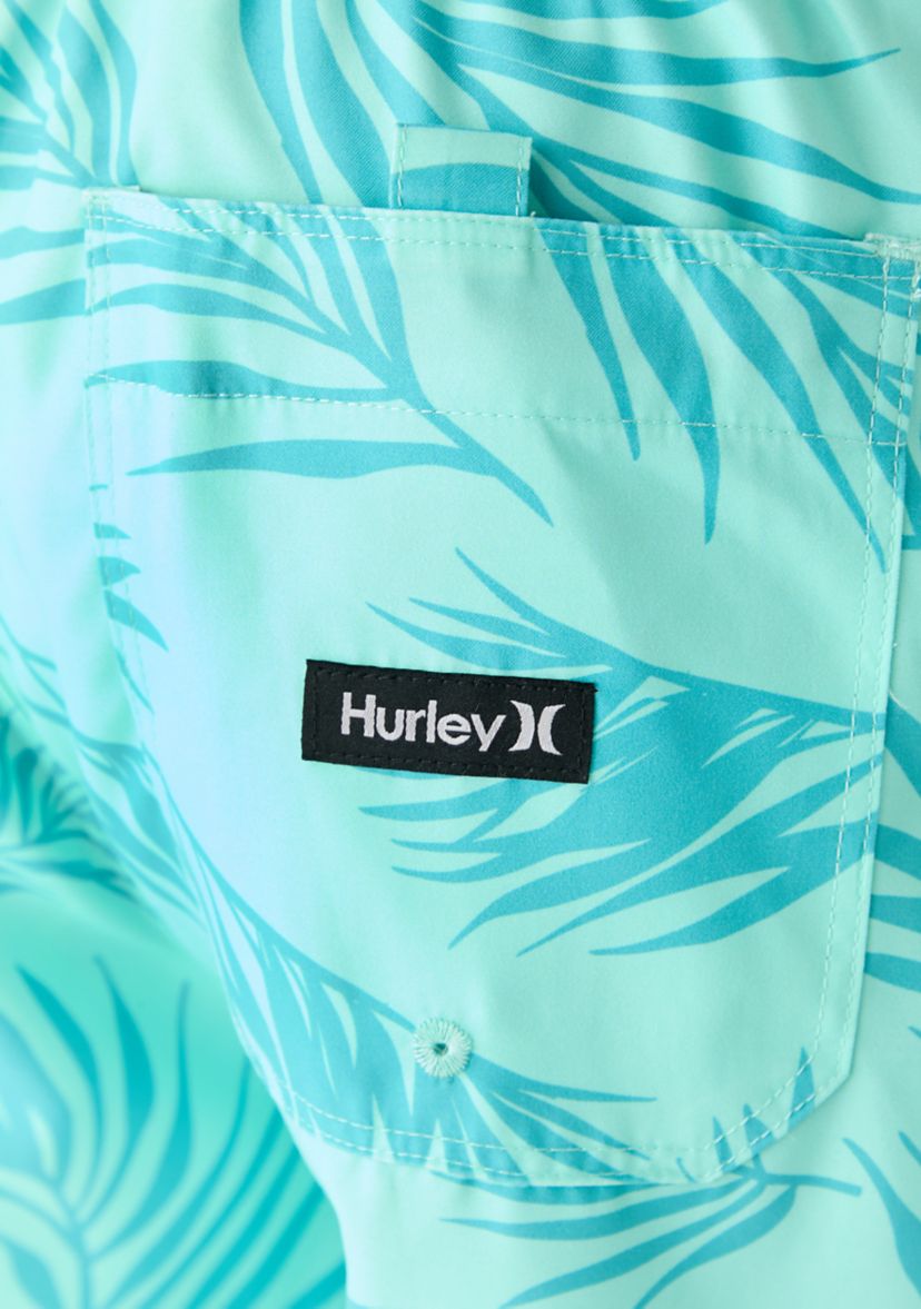 Icon Balboa 17 Volley Swim Trunks