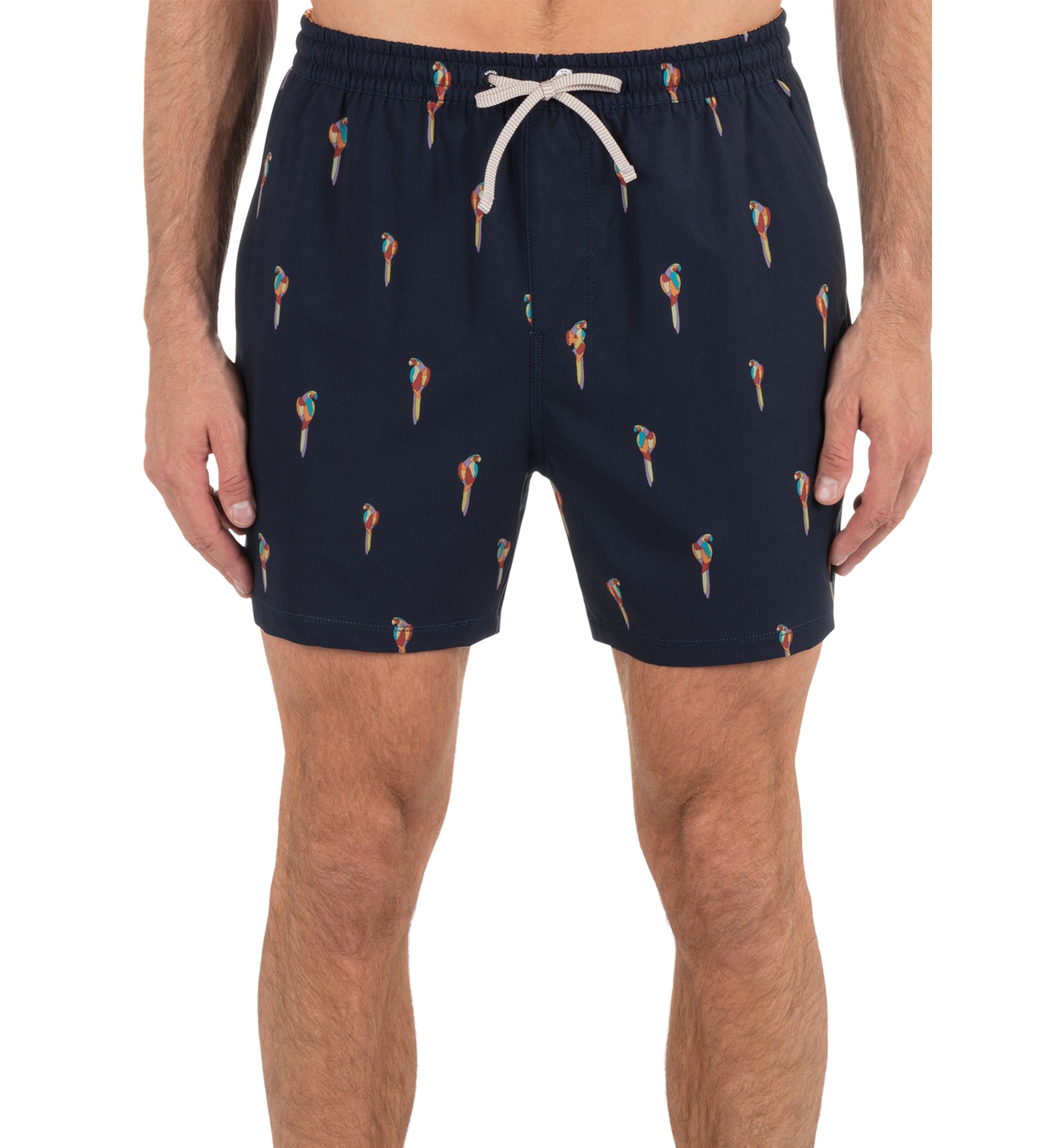 Mens Phantom Eco Poolside Combo Volley Shorts