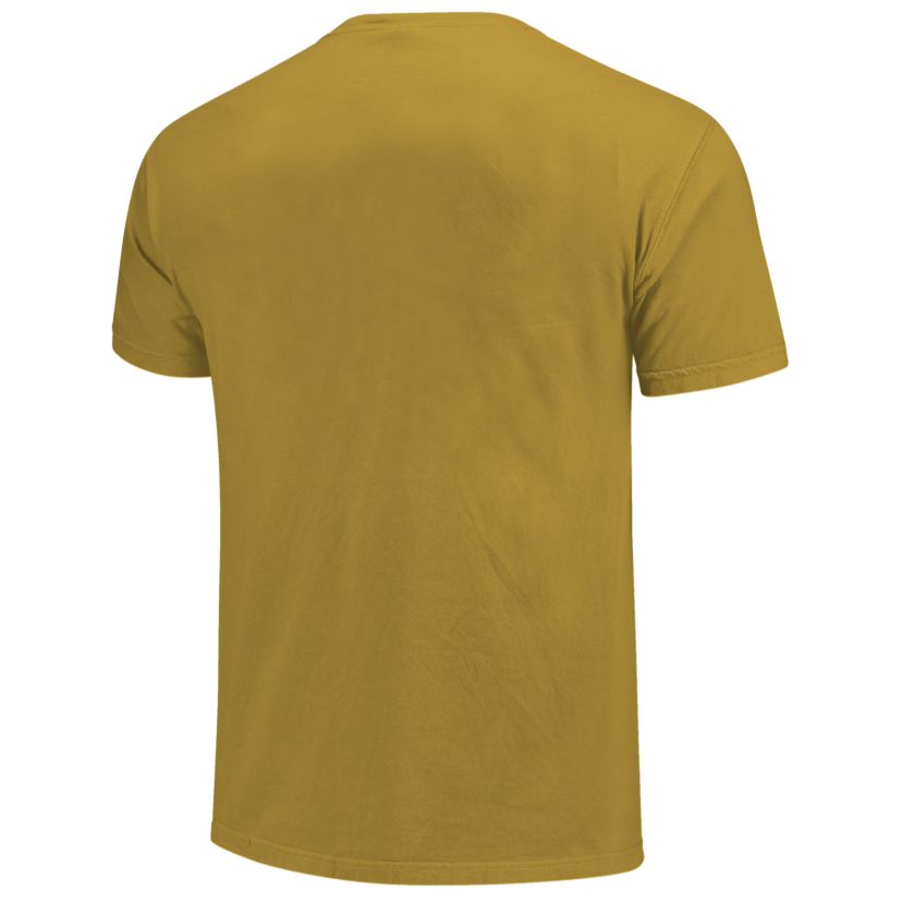 Image One Florida State Seminoles Color Circles Building Short Sleeve T-Shirt