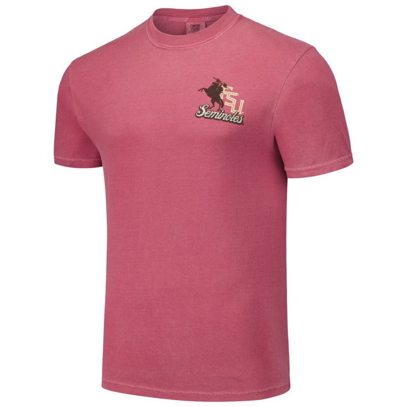 NCAA Unisex Florida State Seminoles Hyper Local Unconquered Statue T-Shirt