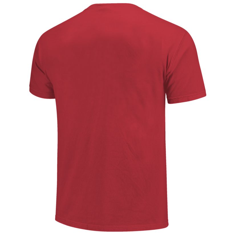 Image One Houston Cougars Color Circles Building Short Sleeve T-Shirt