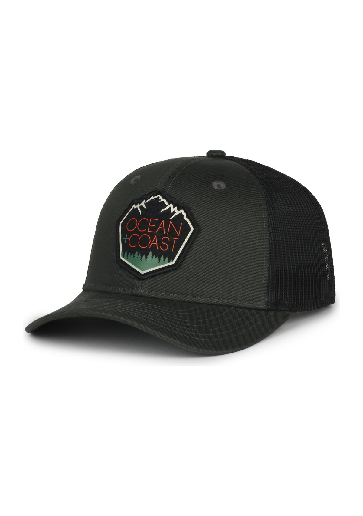 Mountain Logo Snapback Hat