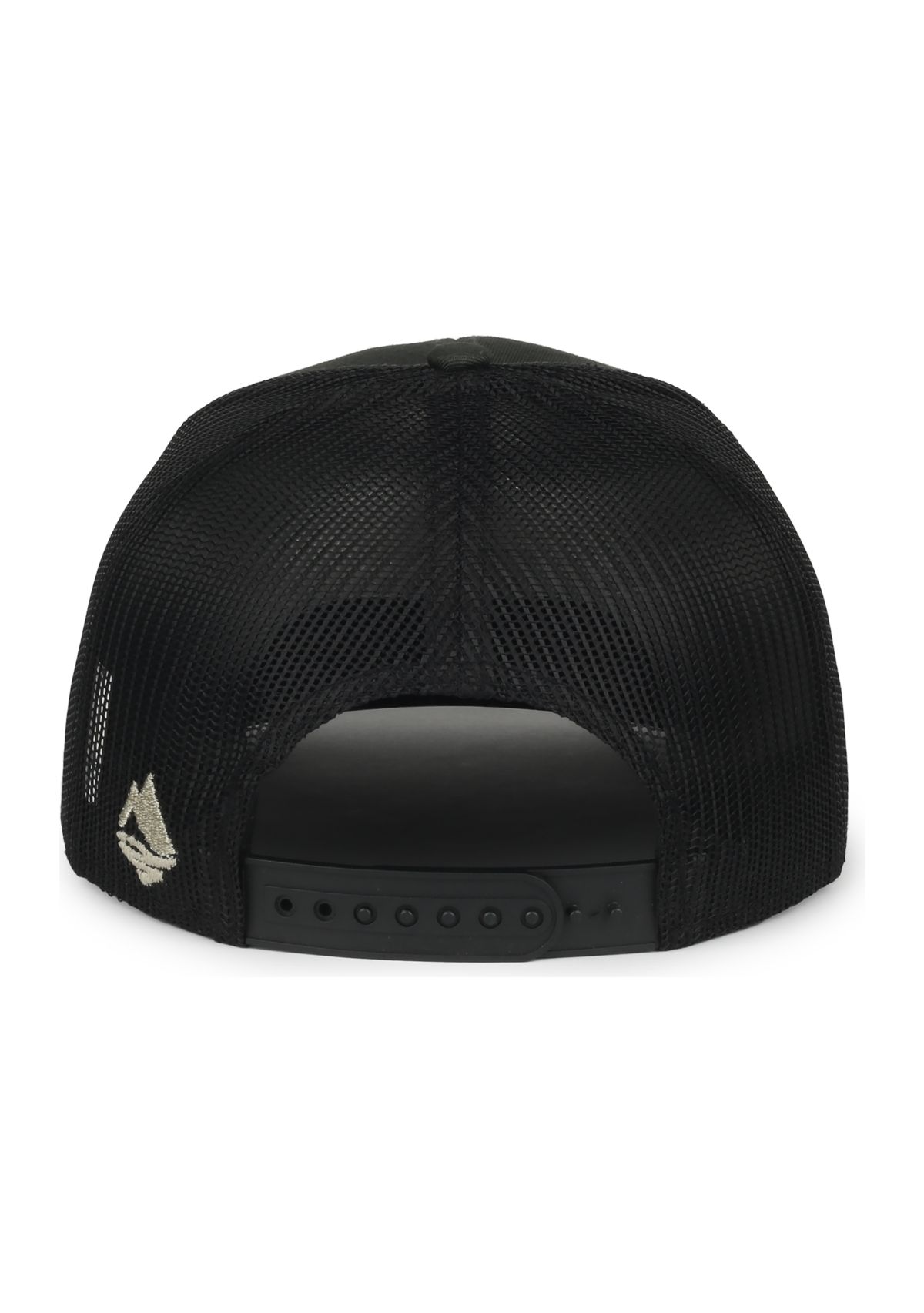 Mountain Logo Snapback Hat