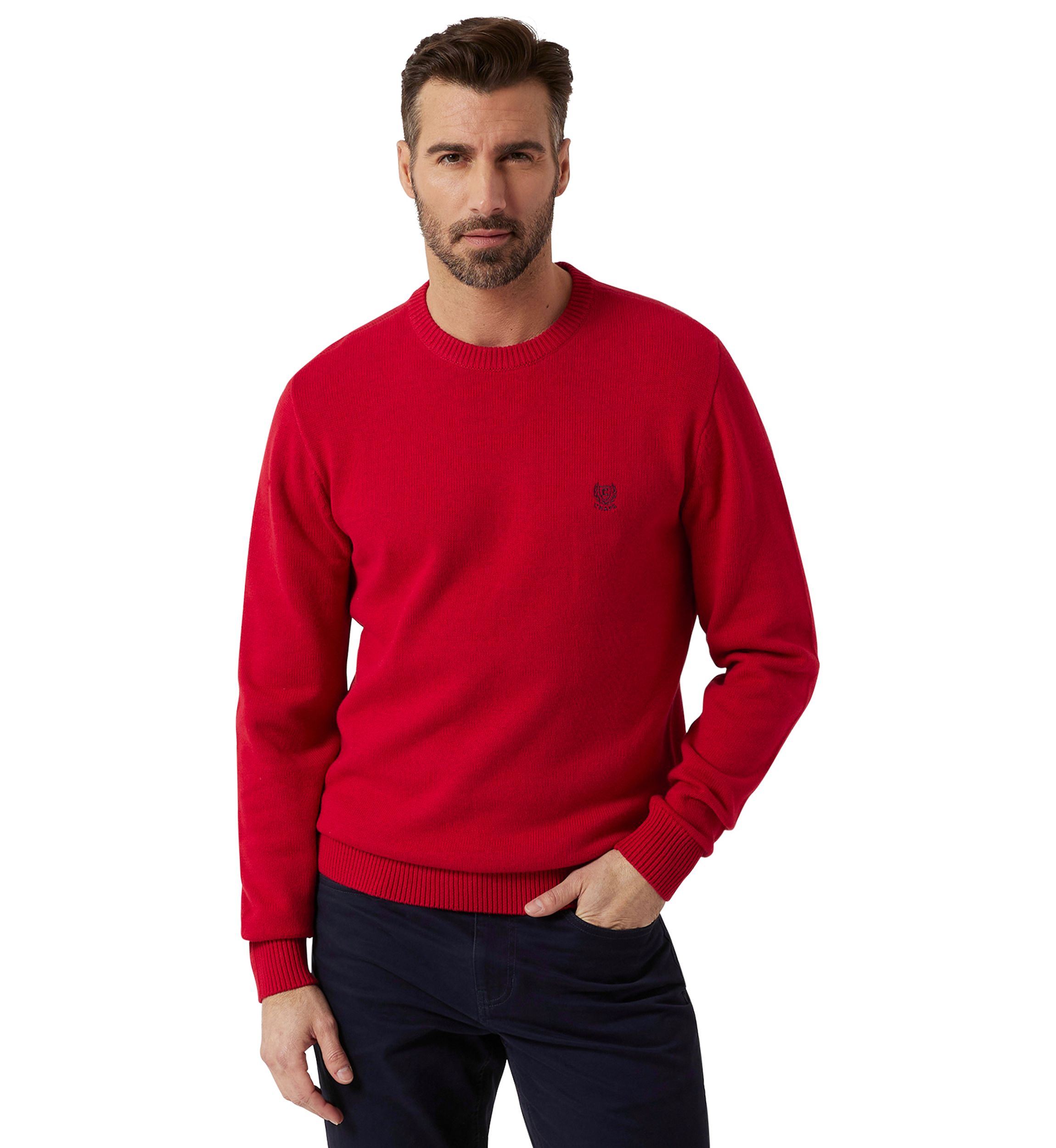 Big & Tall Solid Crew Neck Sweater