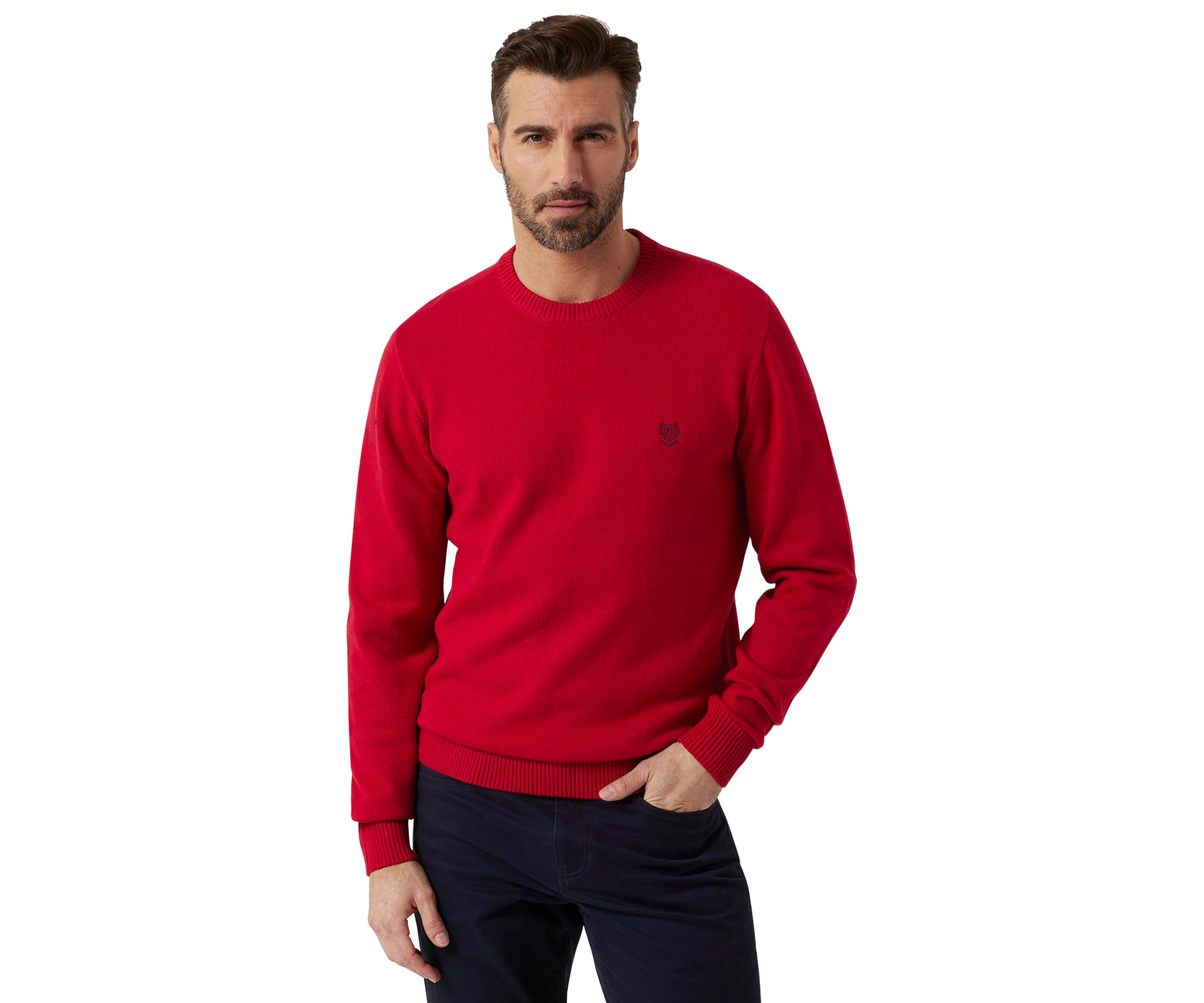 Big & Tall Solid Crew Neck Sweater