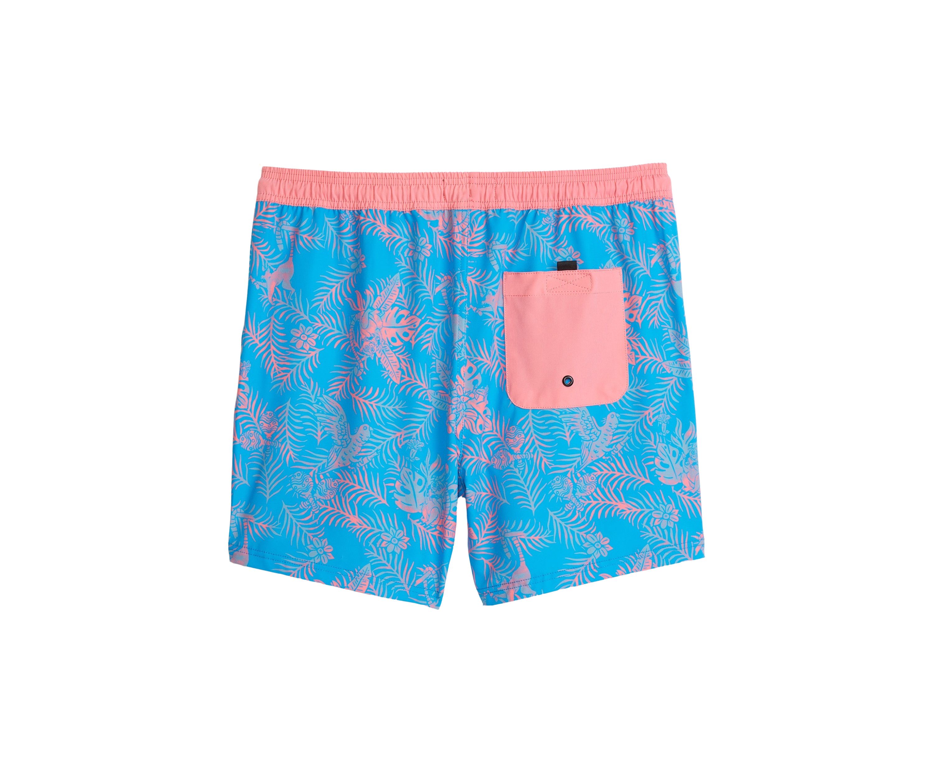 19" Robbie Boardshorts 