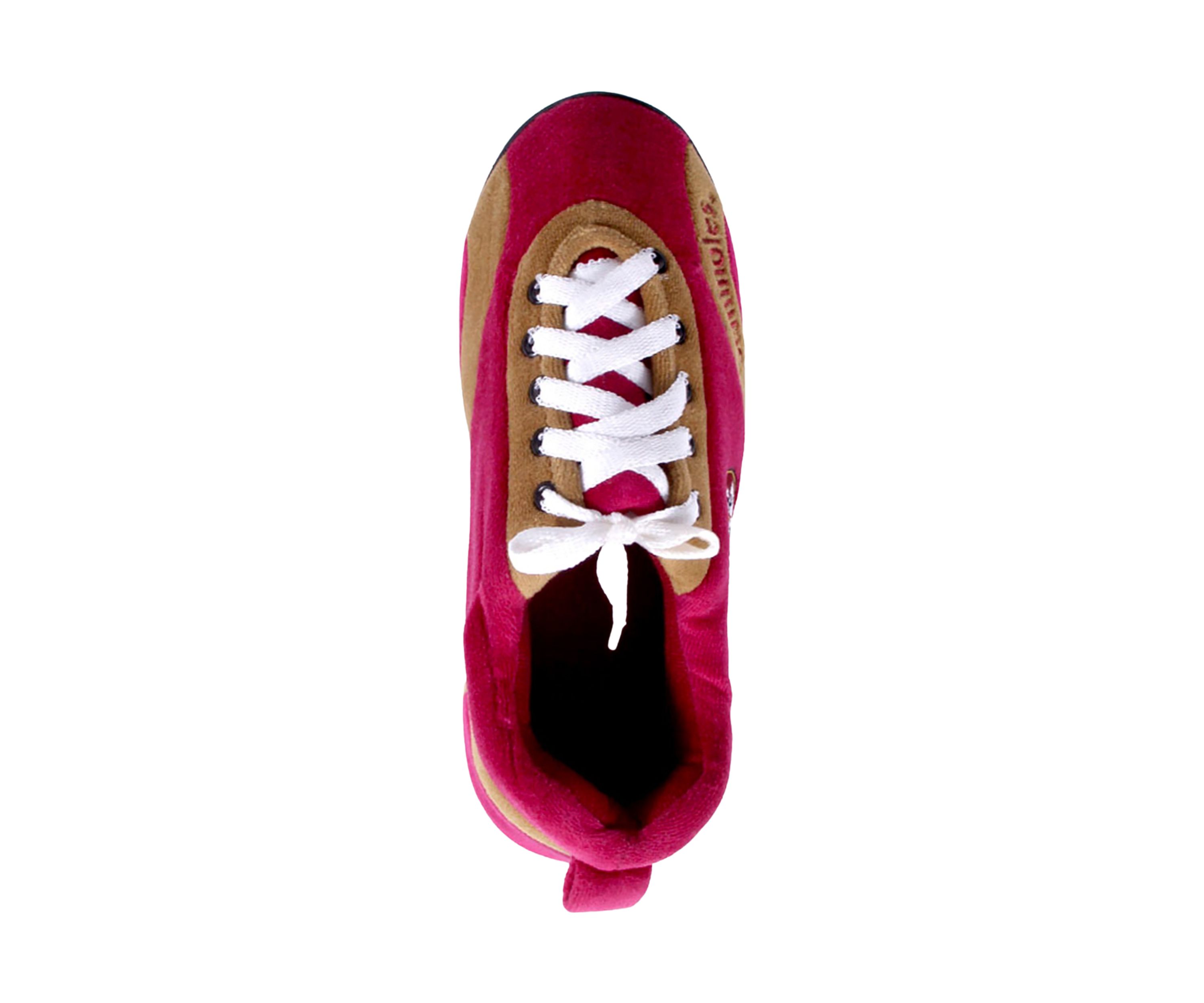 NCAA Florida State Seminoles All Around Indoor Outdoor Slippers