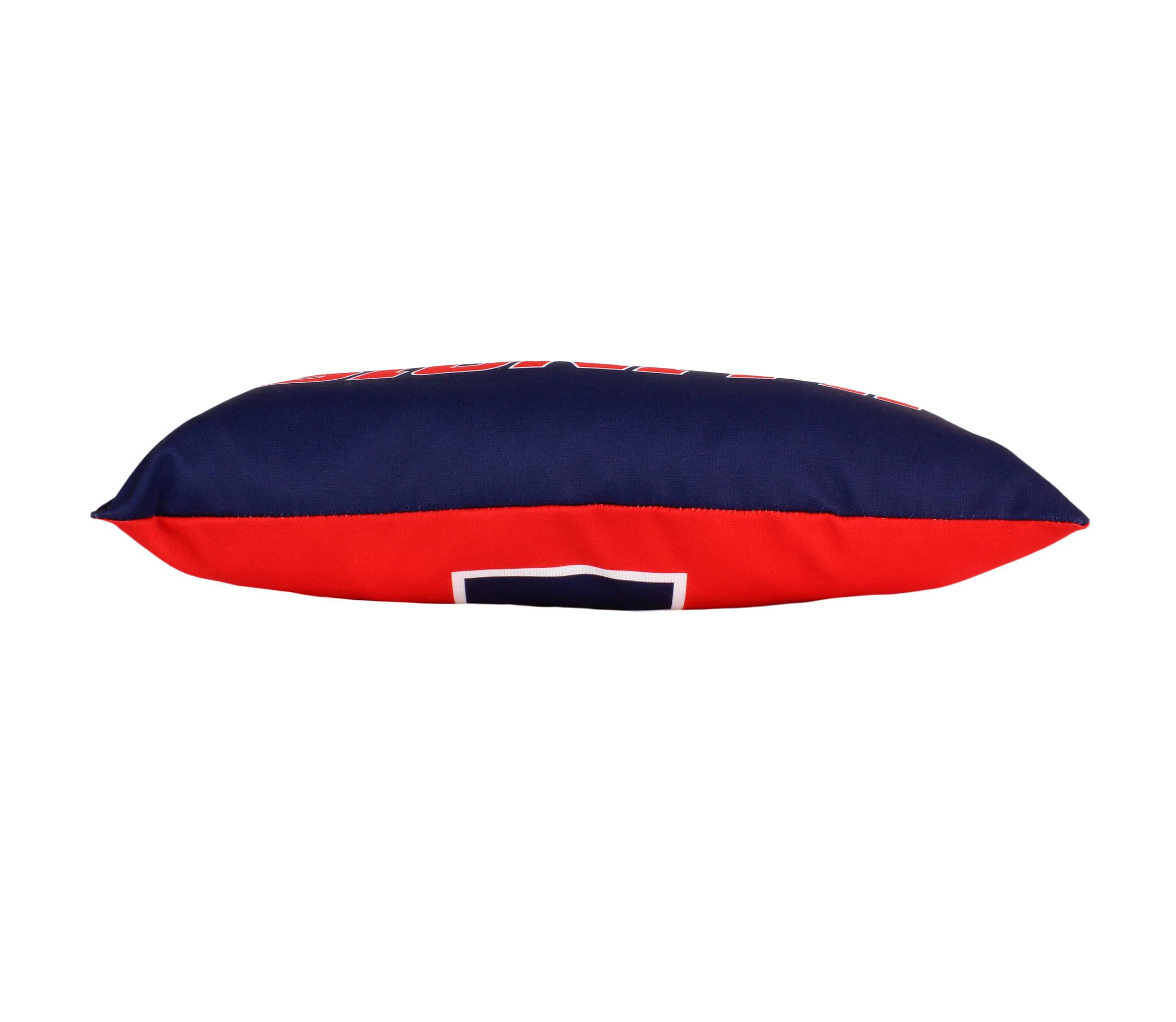 NCAA Illinois Fighting Illini 2 Sided Bolster Travel Pillow