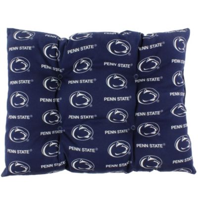 NCAA Penn State Nittany Lions Rocker Pad - Chair Cushion