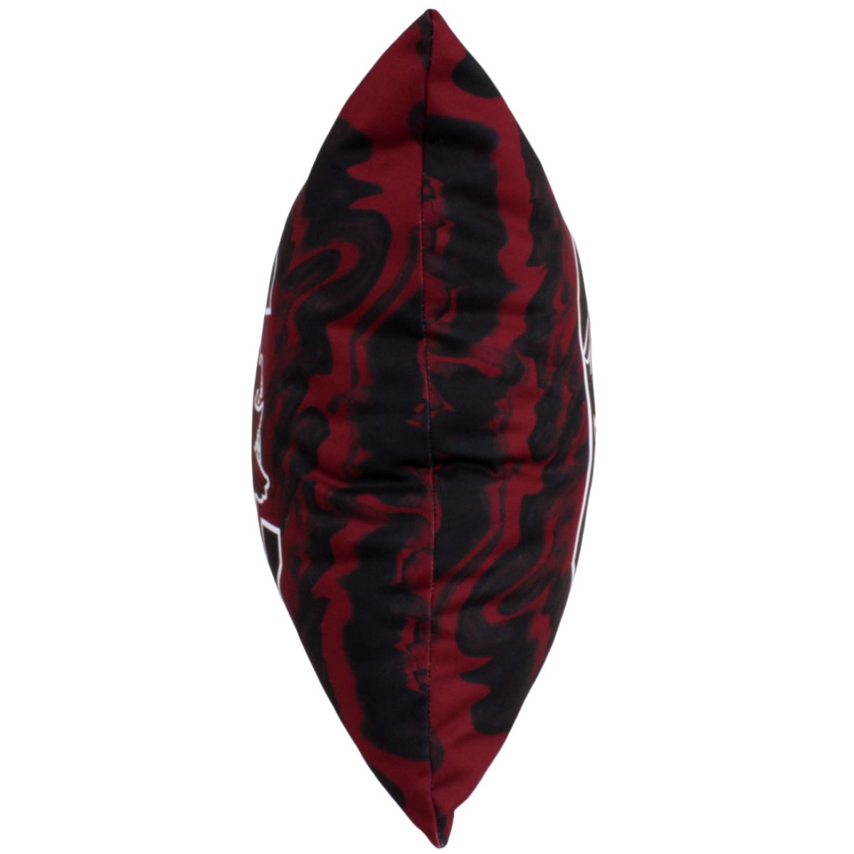 NCAA South Carolina Gamecocks 2 Sided Color Swept Decorative Pillow