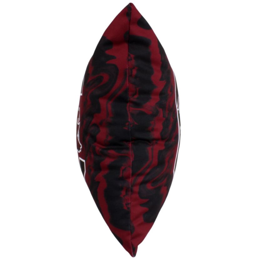 NCAA South Carolina Gamecocks 2 Sided Color Swept Decorative Pillow