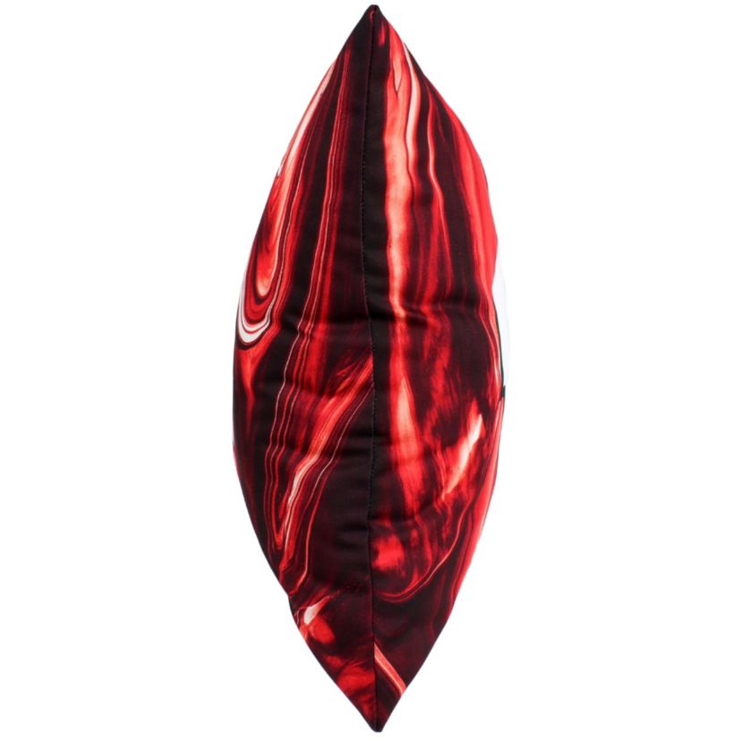 NCAA Wisconsin Badgers 2 Sided Color Swept Decorative Pillow