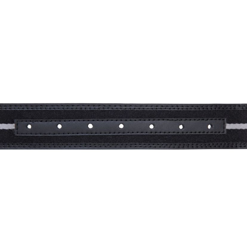 Signature Logo Stripe Ribbon Reverses to Leather Belt