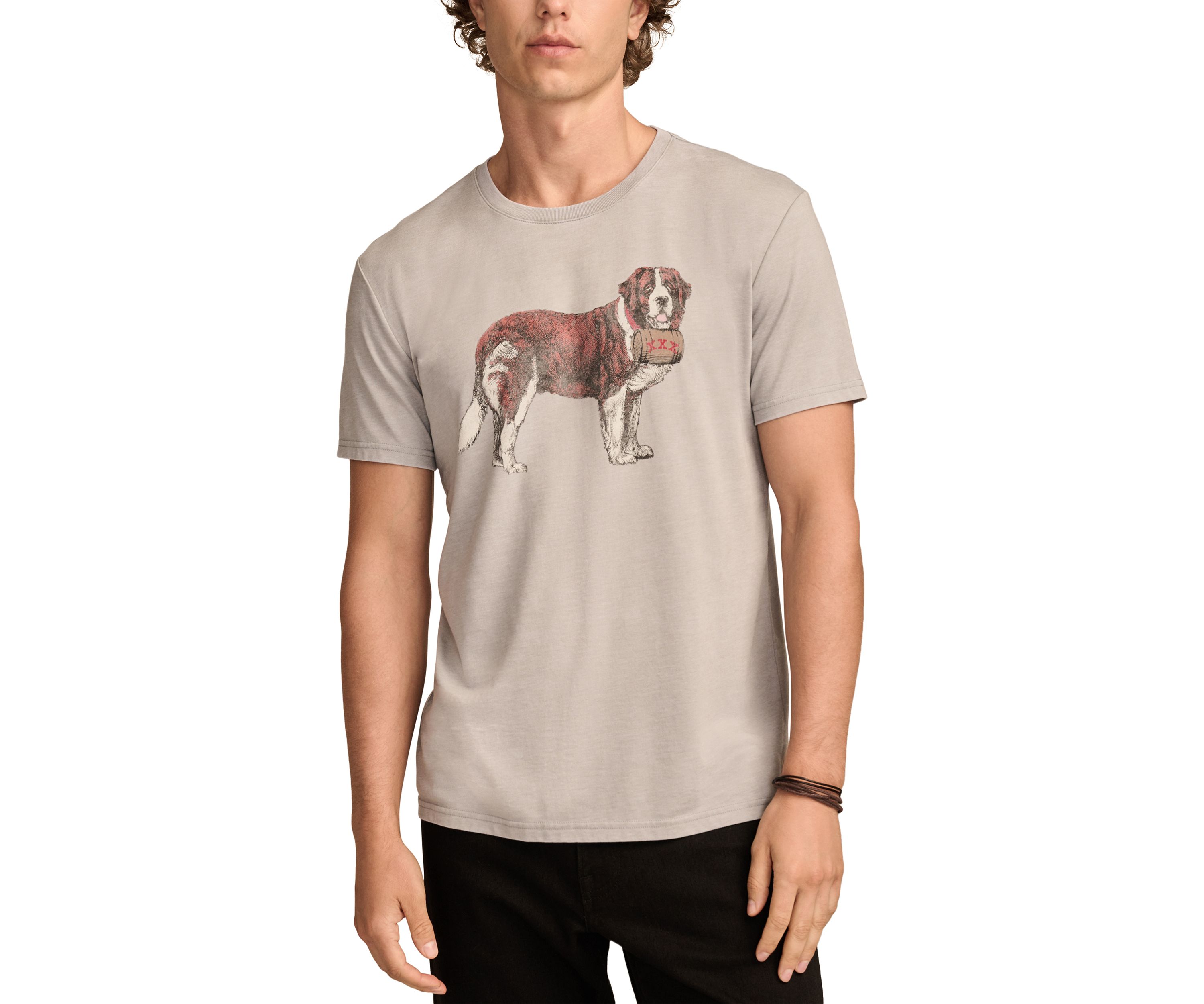 St Bernard Graphic T-Shirt