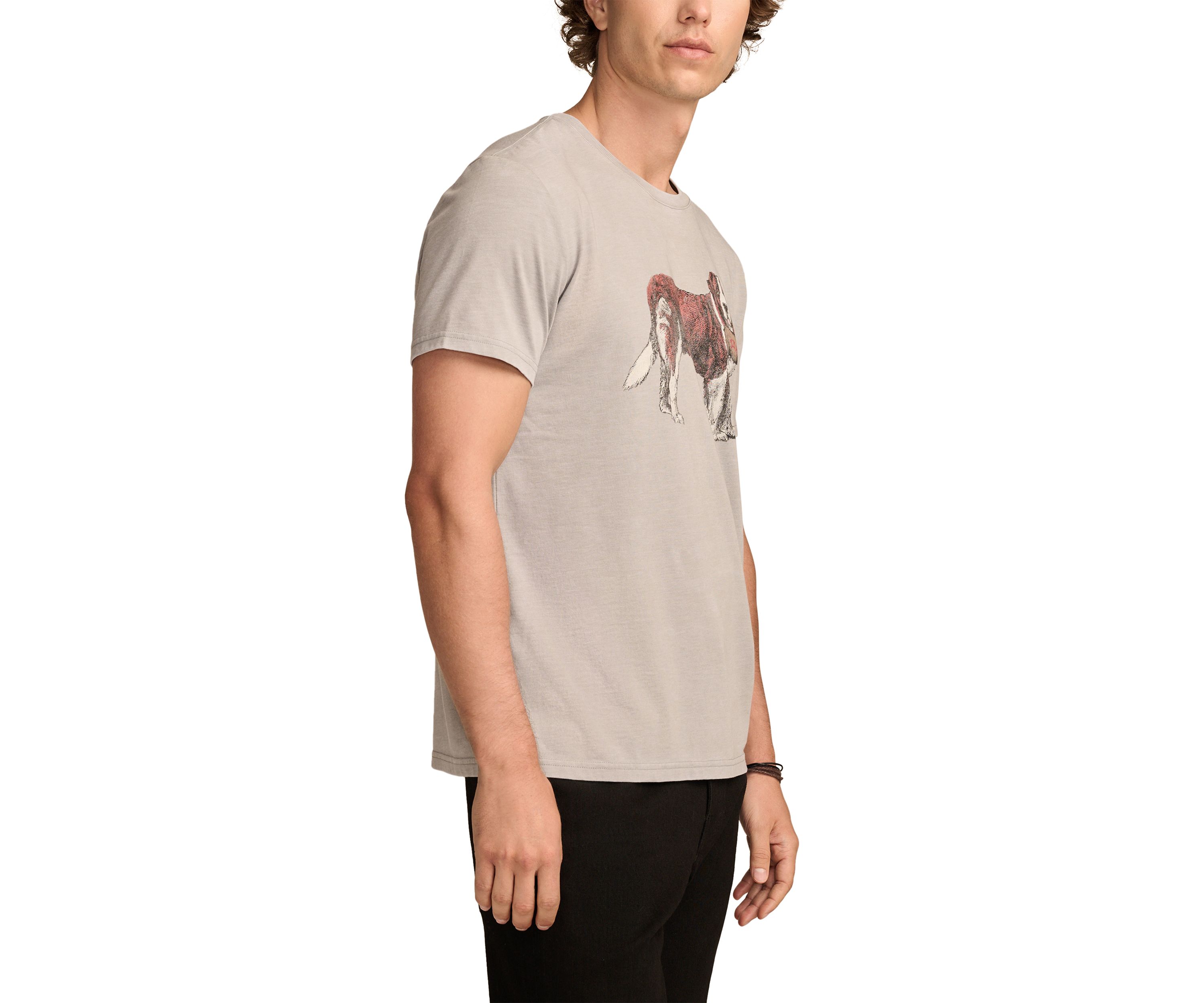 Big & Tall Short Sleeve St. Bernard Graphic T-Shirt