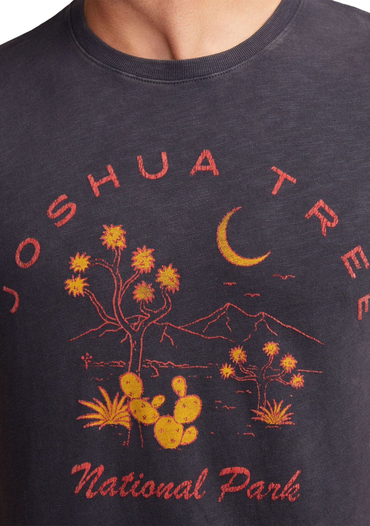 Joshua Tree Graphic T-Shirt 