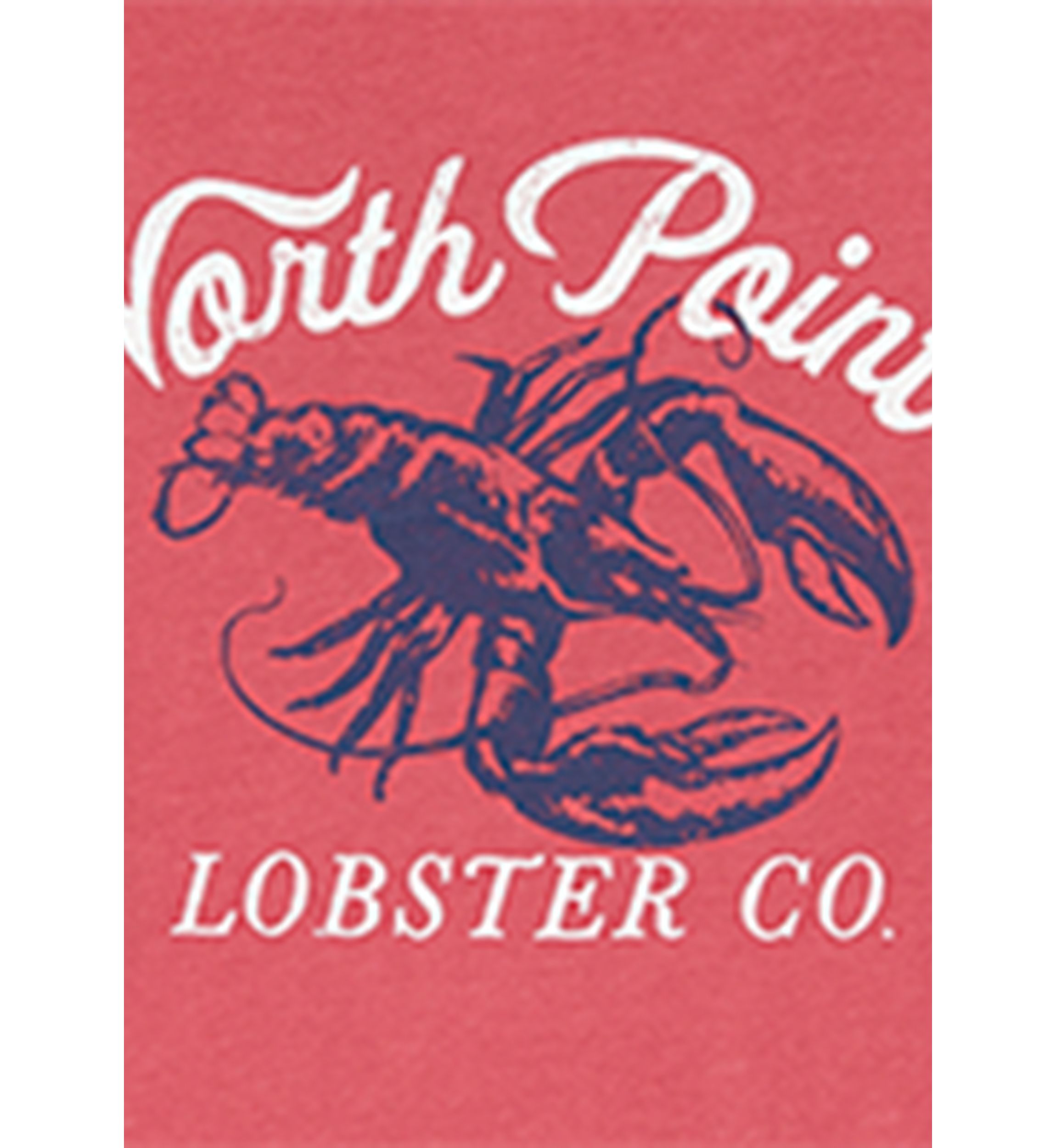 Big & Tall Point Lobster Graphic T-Shirt