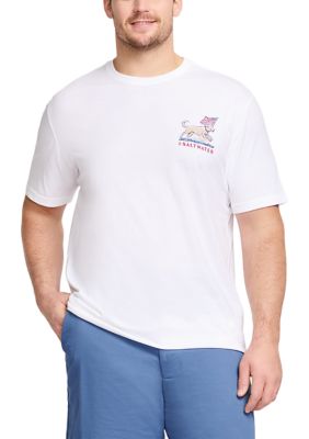 Big & Tall IZOD Saltwater Soft Wash Short Sleeve Graphic Tee