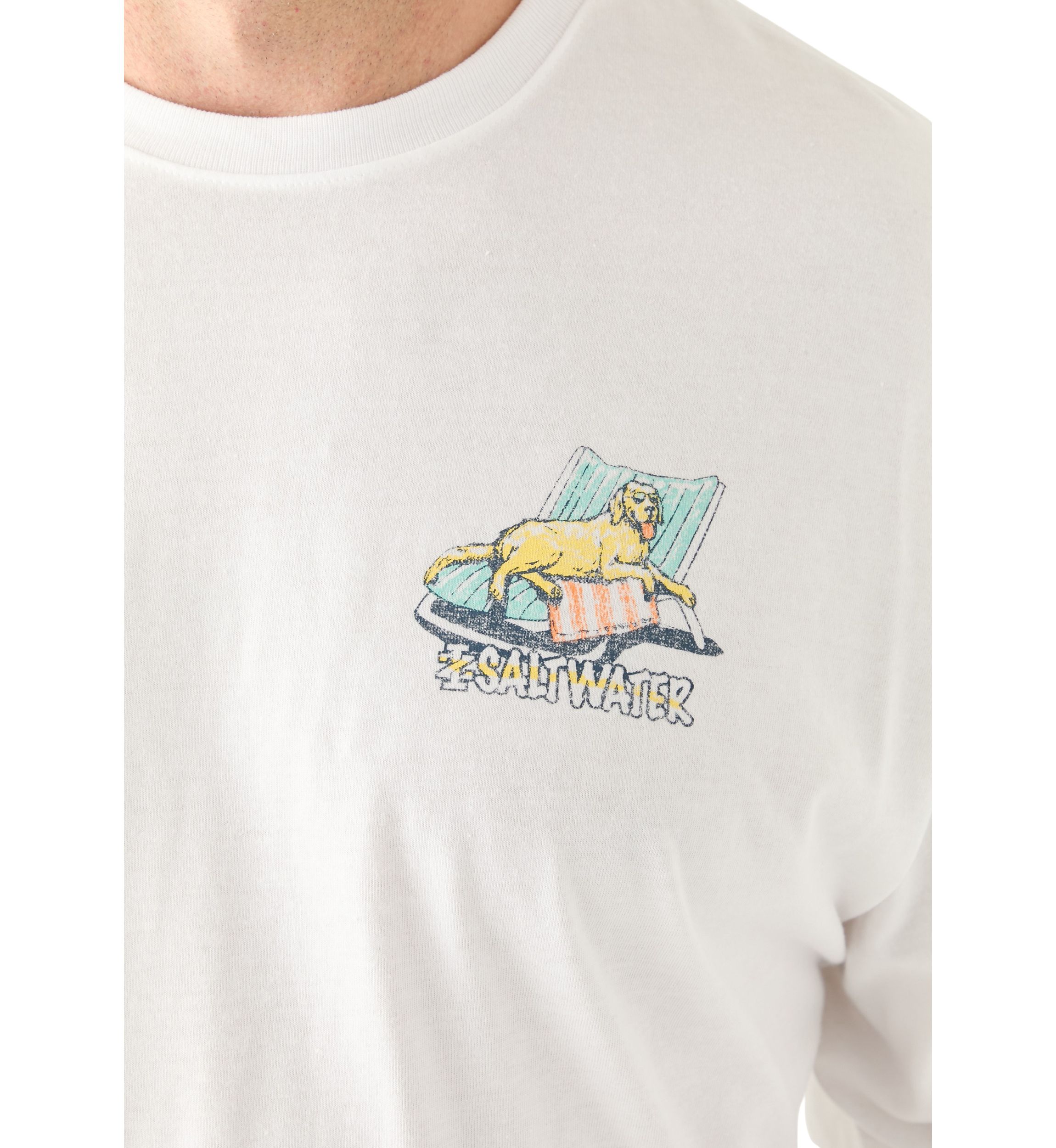 Short Sleeve Pool Day Dog Graphic T-Shirt