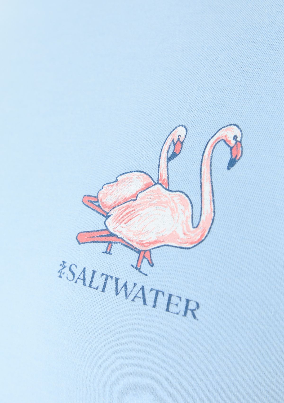 Big & Tall Saltwater Short Sleeve Graphic T-Shirt