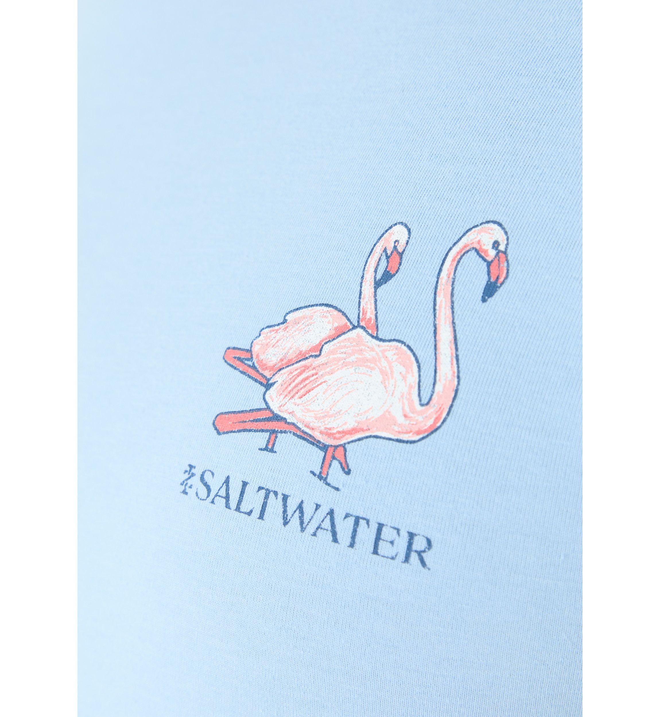 Big & Tall Saltwater Short Sleeve Graphic T-Shirt