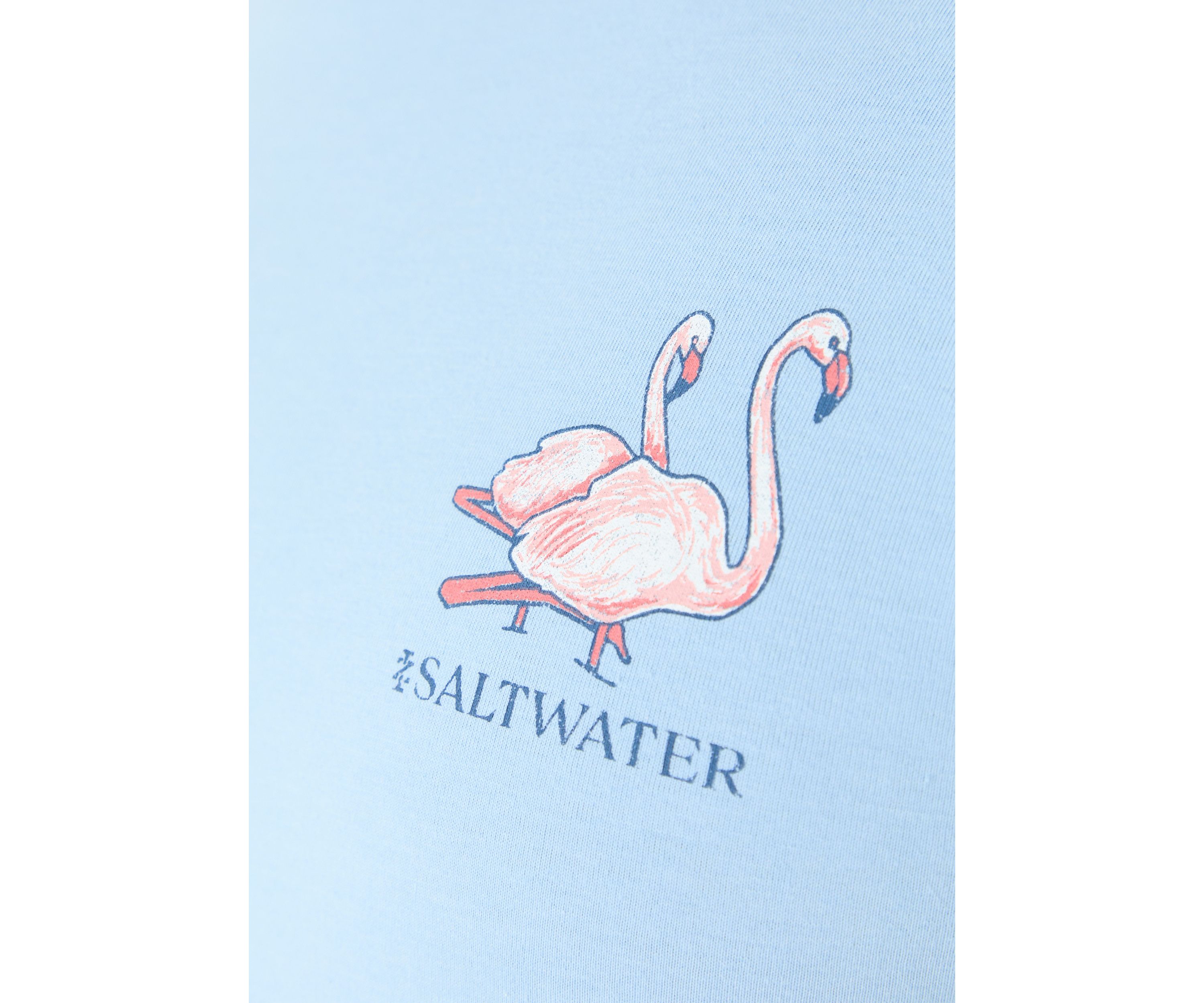 Big & Tall Saltwater Short Sleeve Graphic T-Shirt
