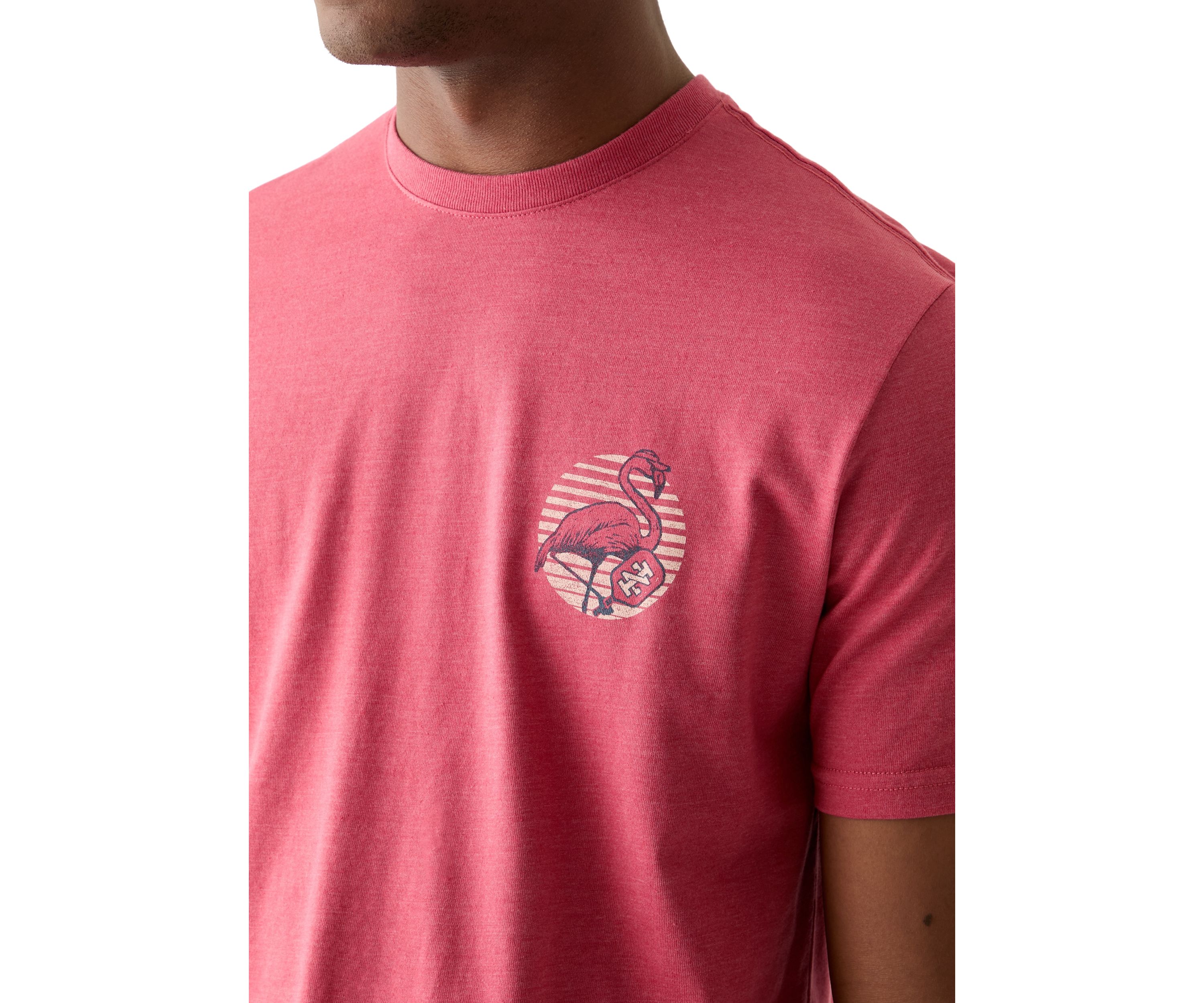 Flamingo Short Sleeve Graphic T-Shirt