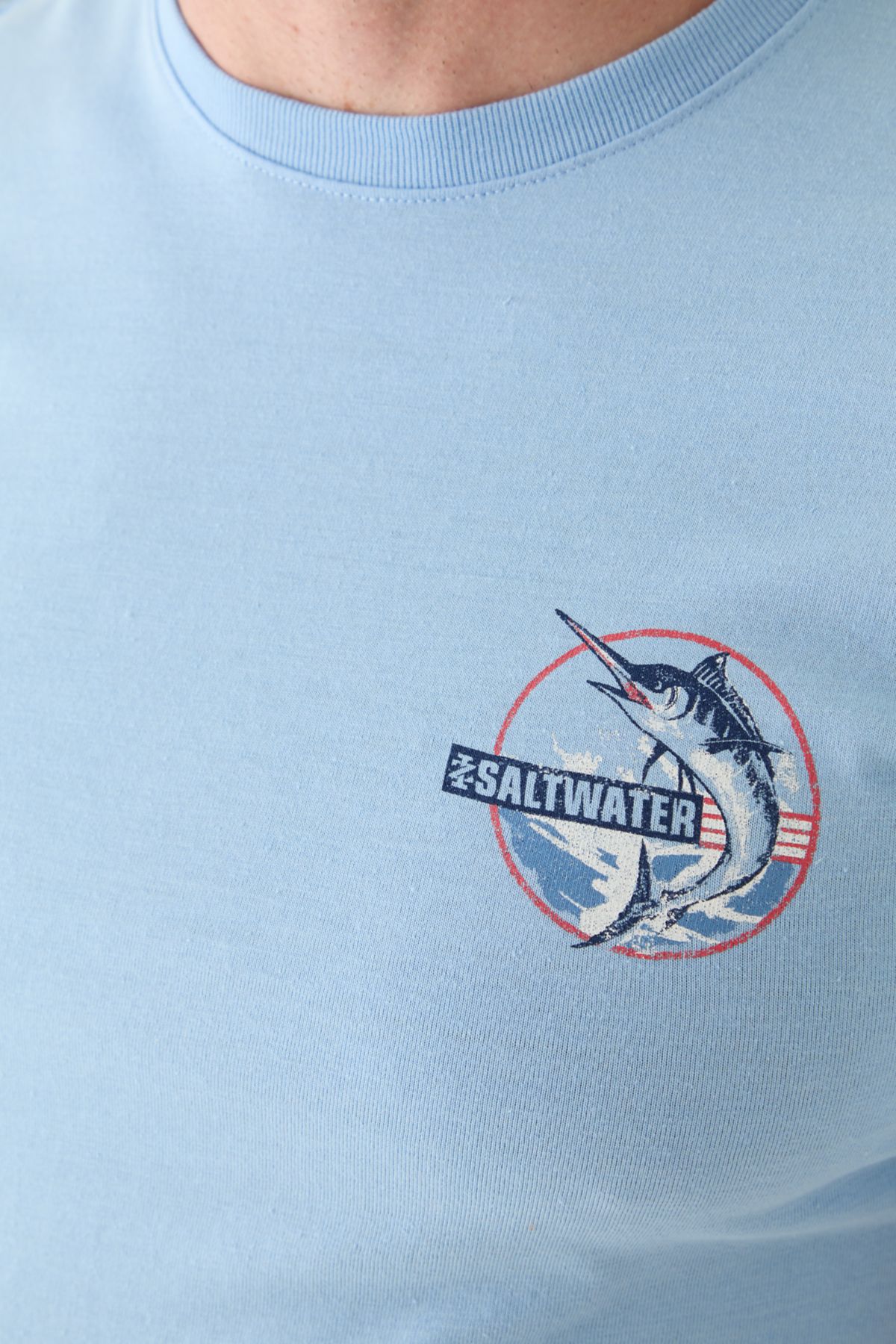 Short Sleeve Americana Graphic T-Shirt