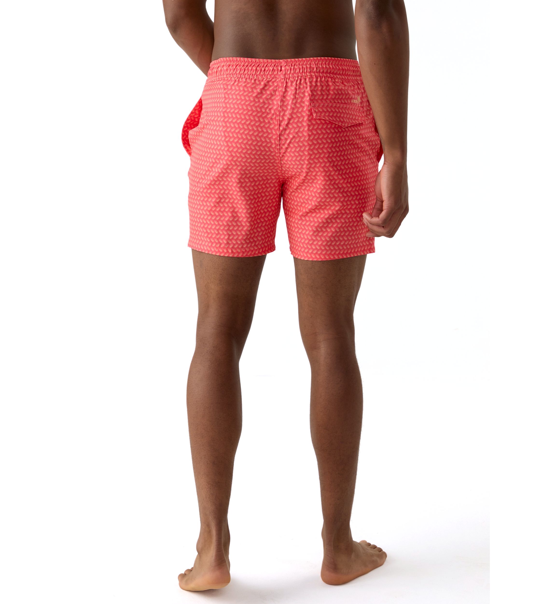 17" Printed Swim Trunks