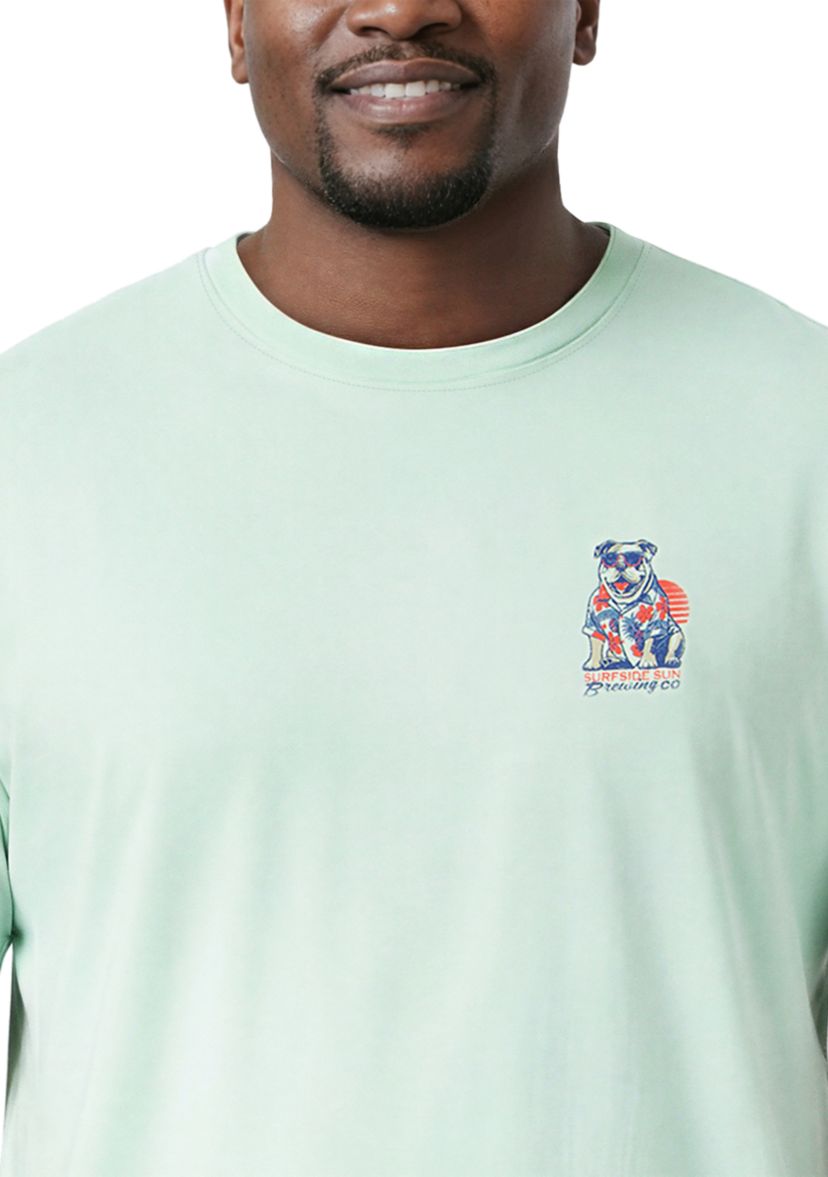 IZOD Big & Tall Surfside Sun Dog Graphic T-Shirt | Belk