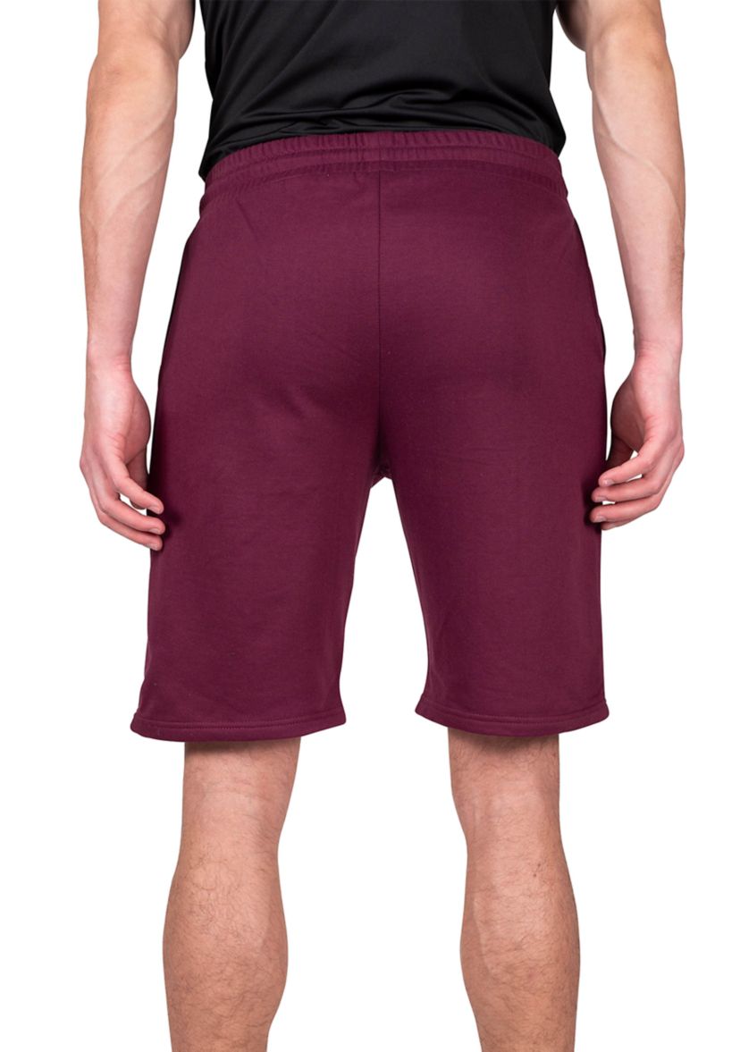 LOUNGEHERO Mens 2 Pack Fleece Short