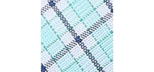 TEAL GRID