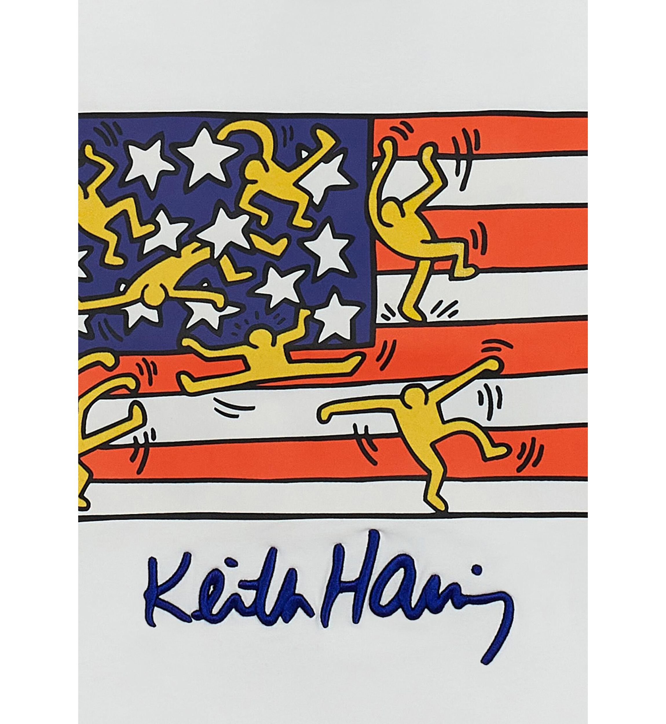 Mens Keith Haring American Flag Graphic T-Shirt 