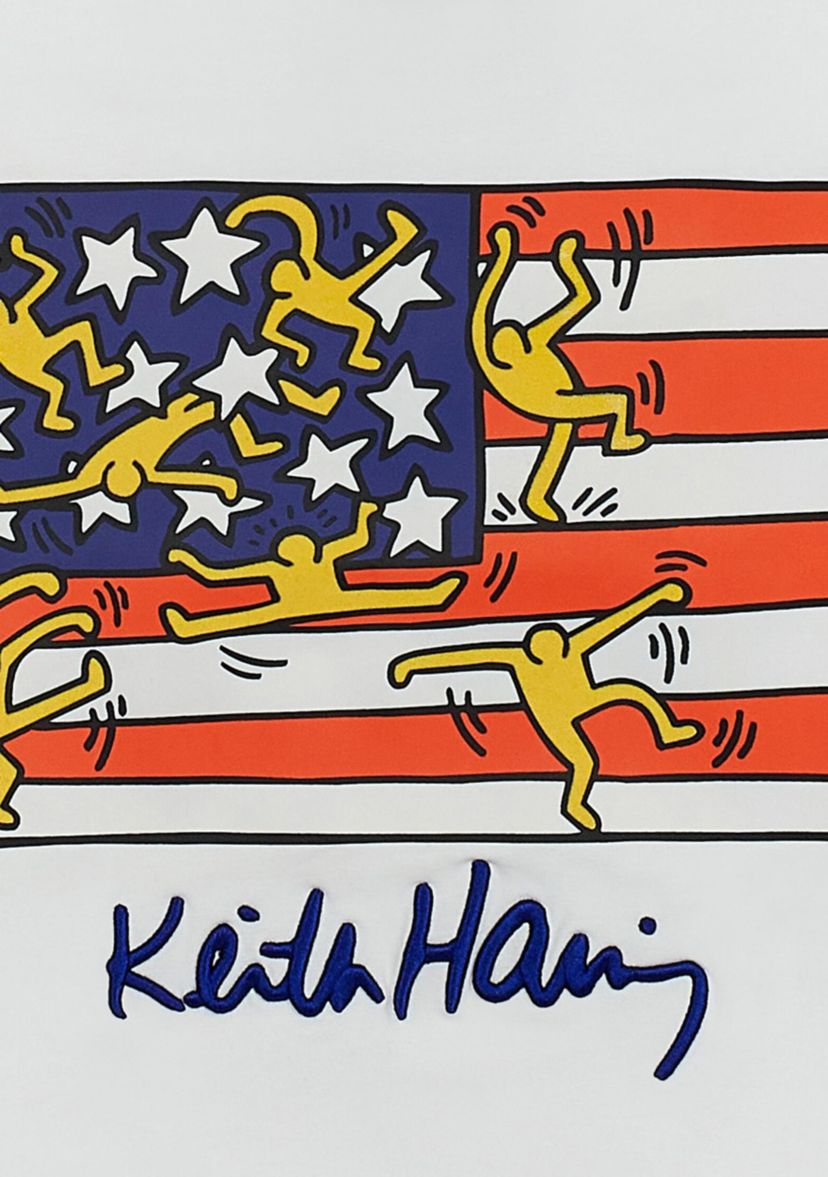 Mens Keith Haring American Flag Graphic T-Shirt 