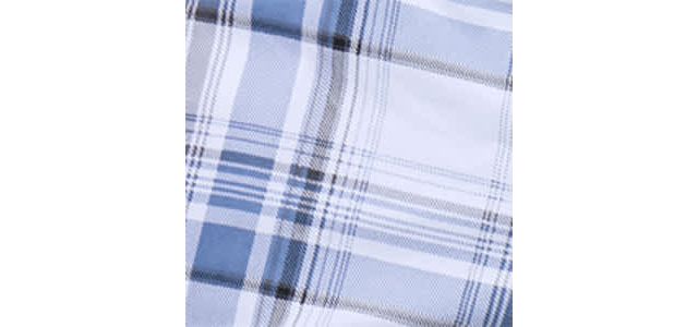 PLAID BLUE/WHITE