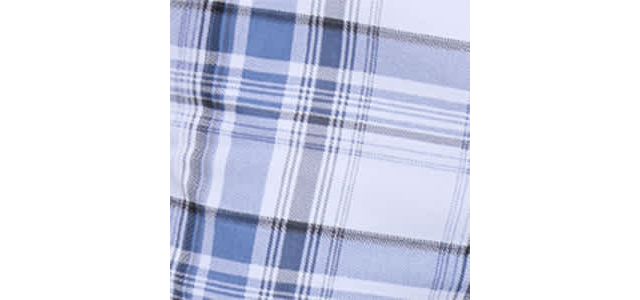 PLAID BLUE/WHITE