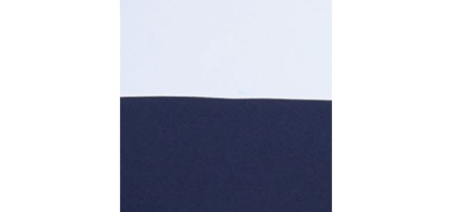 WHITE/NAVY