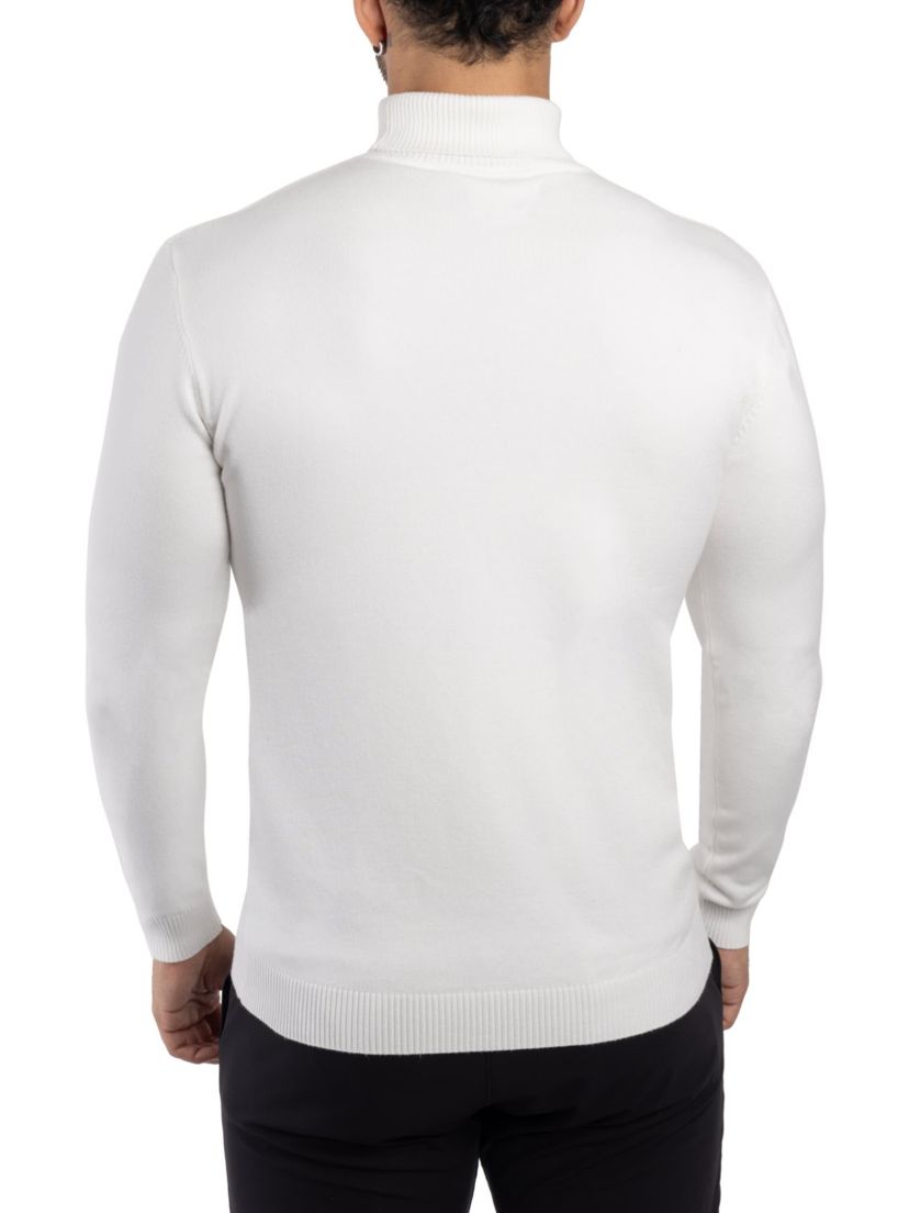 Mens Turtleneck Sweater