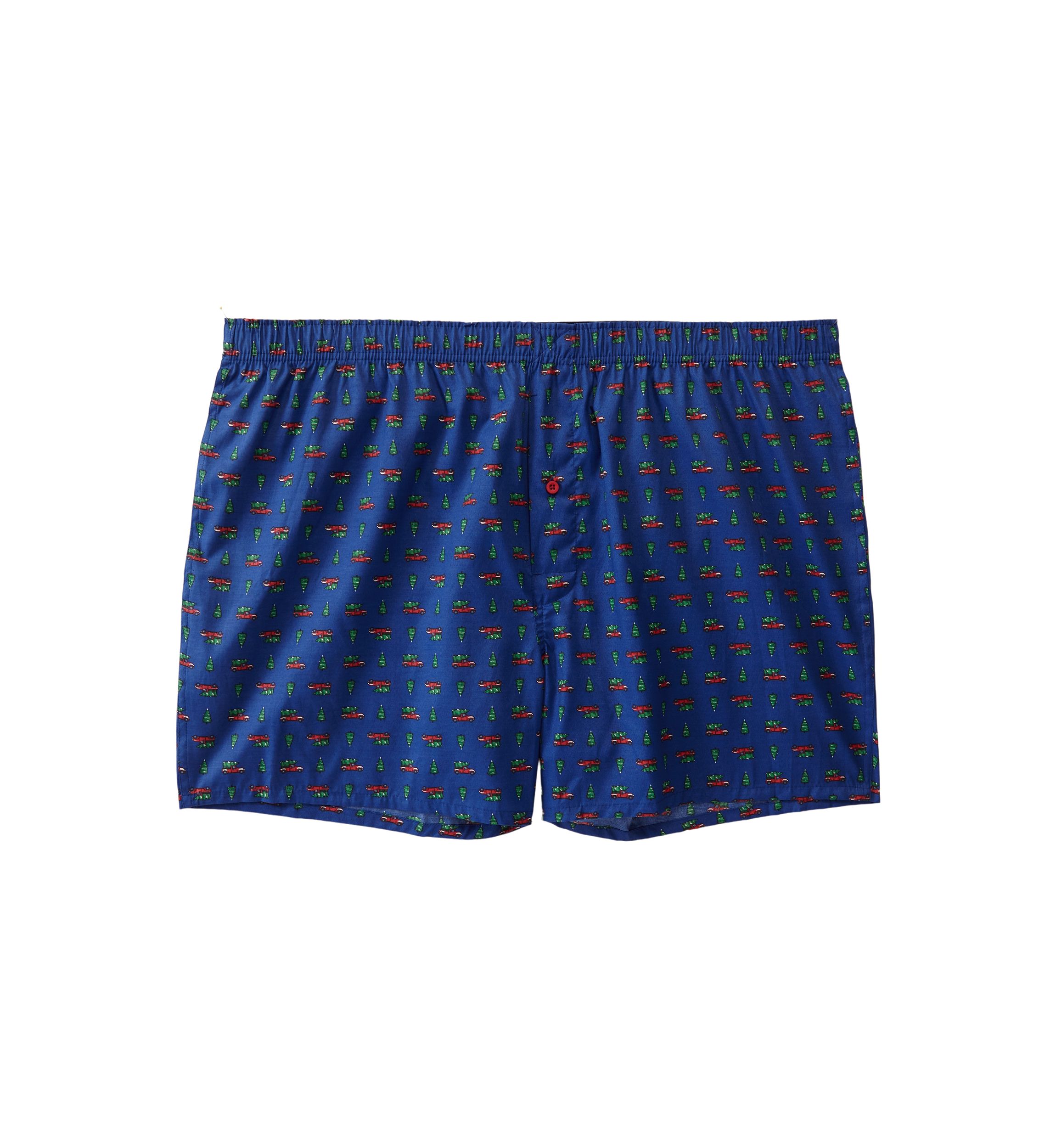 Big & Tall Holiday Truck Printed Boxers