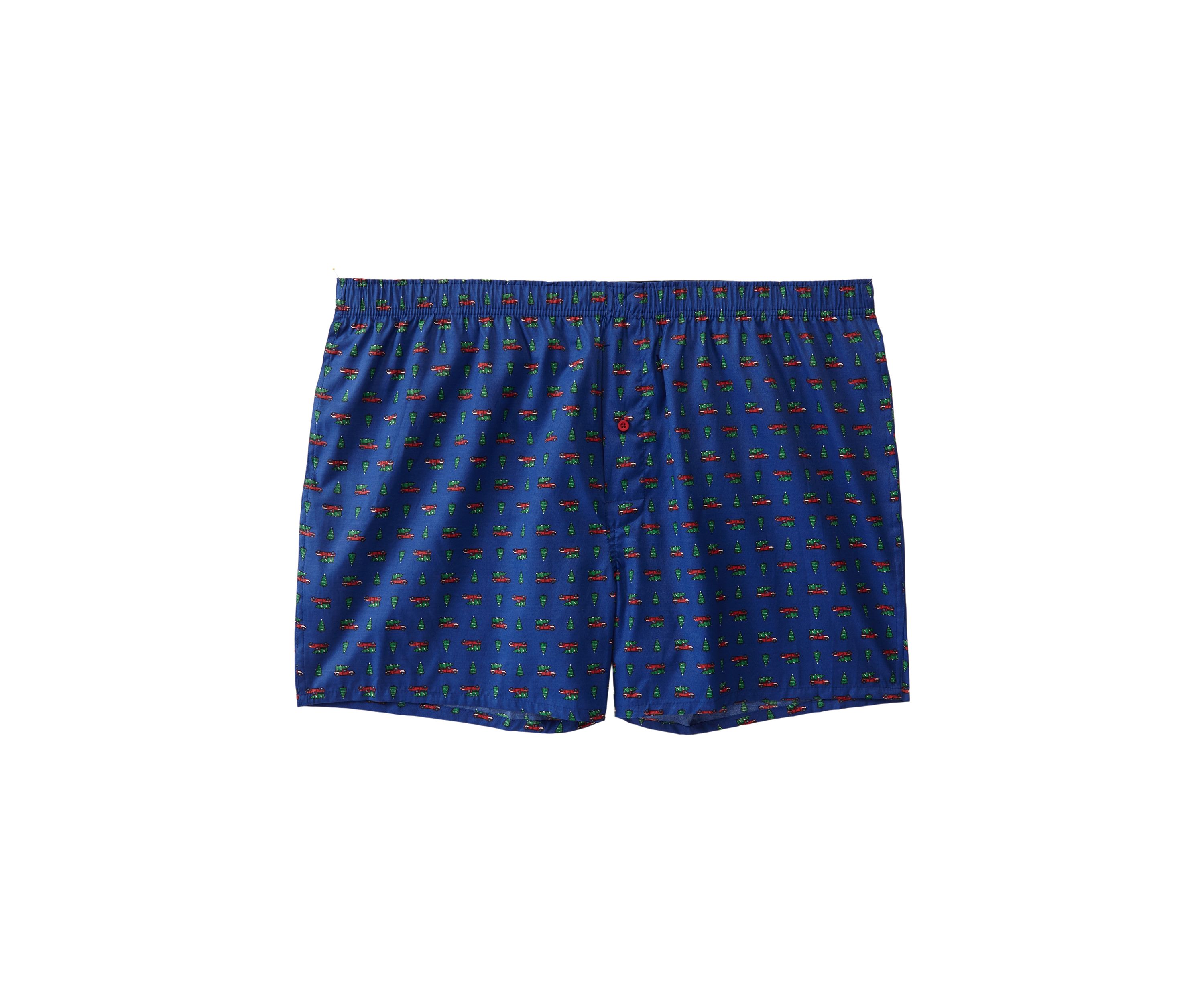 Big & Tall Holiday Truck Printed Boxers
