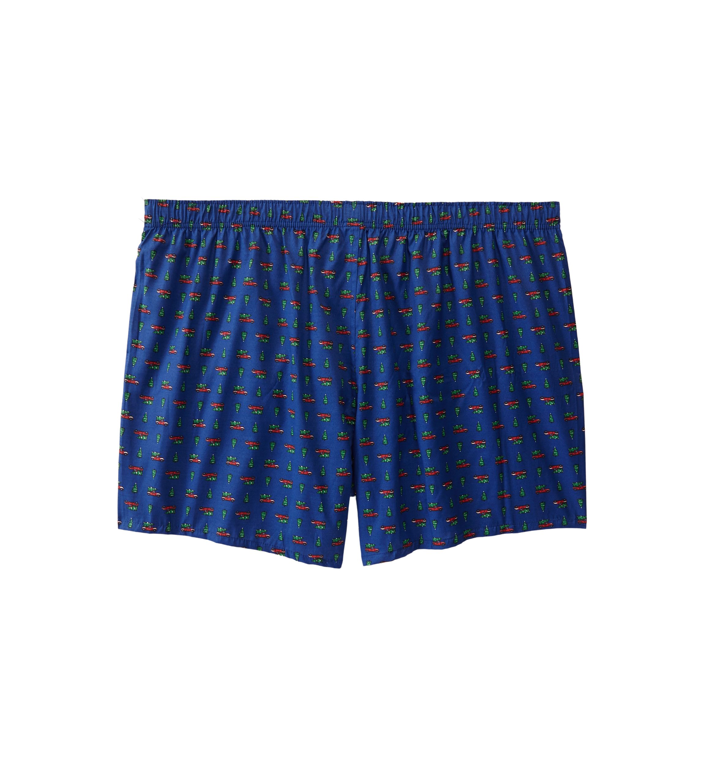 Big & Tall Holiday Truck Printed Boxers
