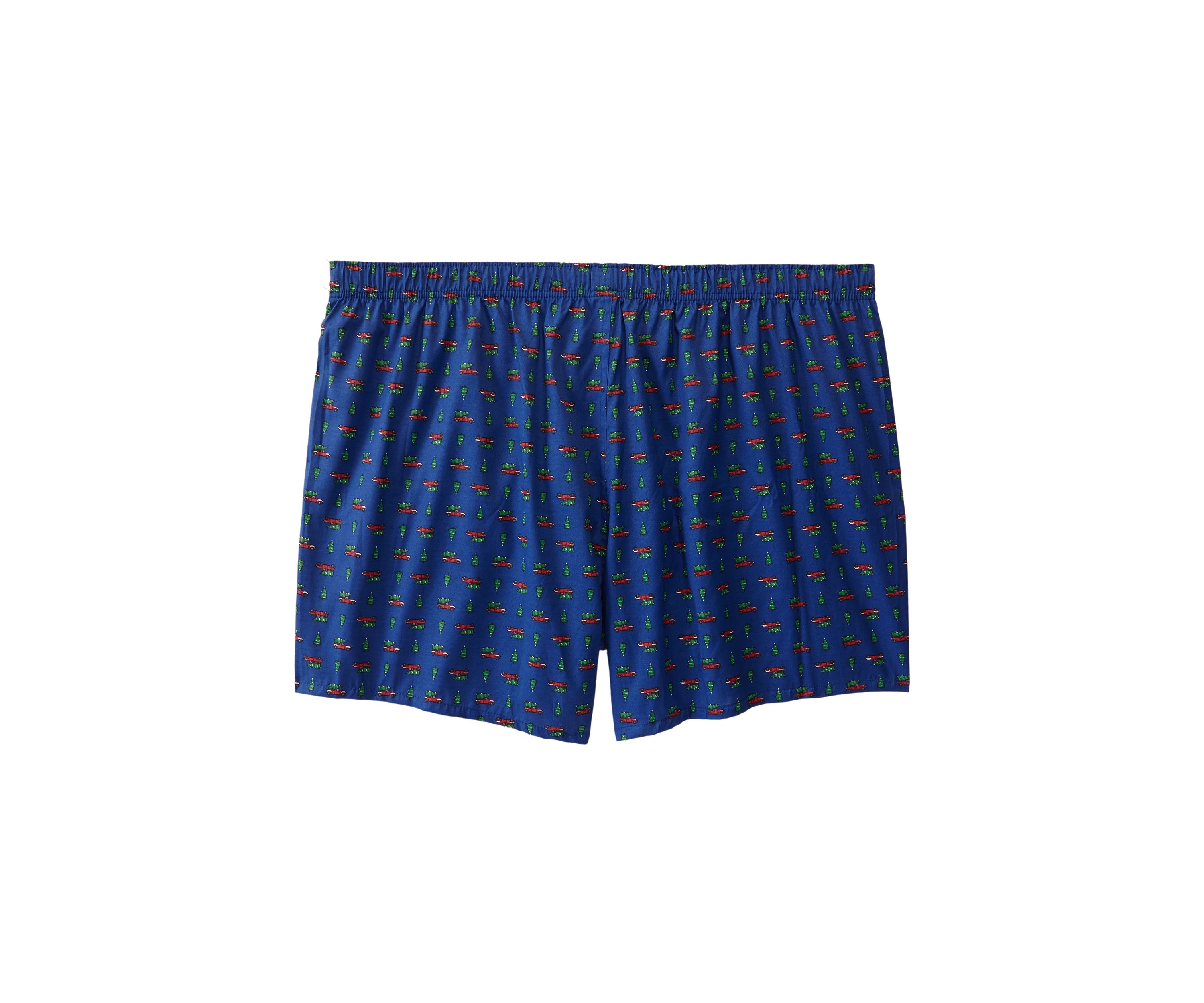 Big & Tall Holiday Truck Printed Boxers