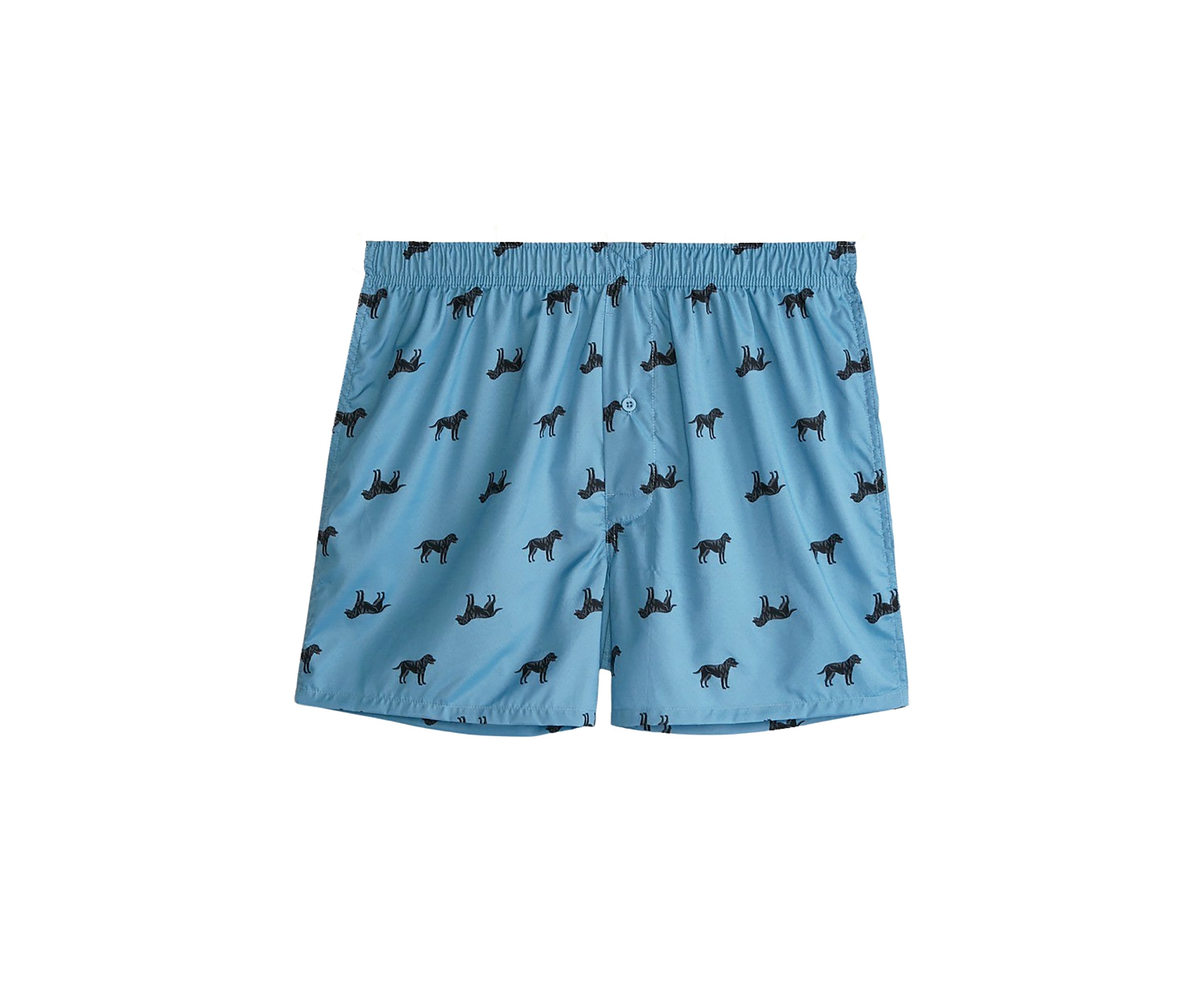 Big & Tall Dog Boxers