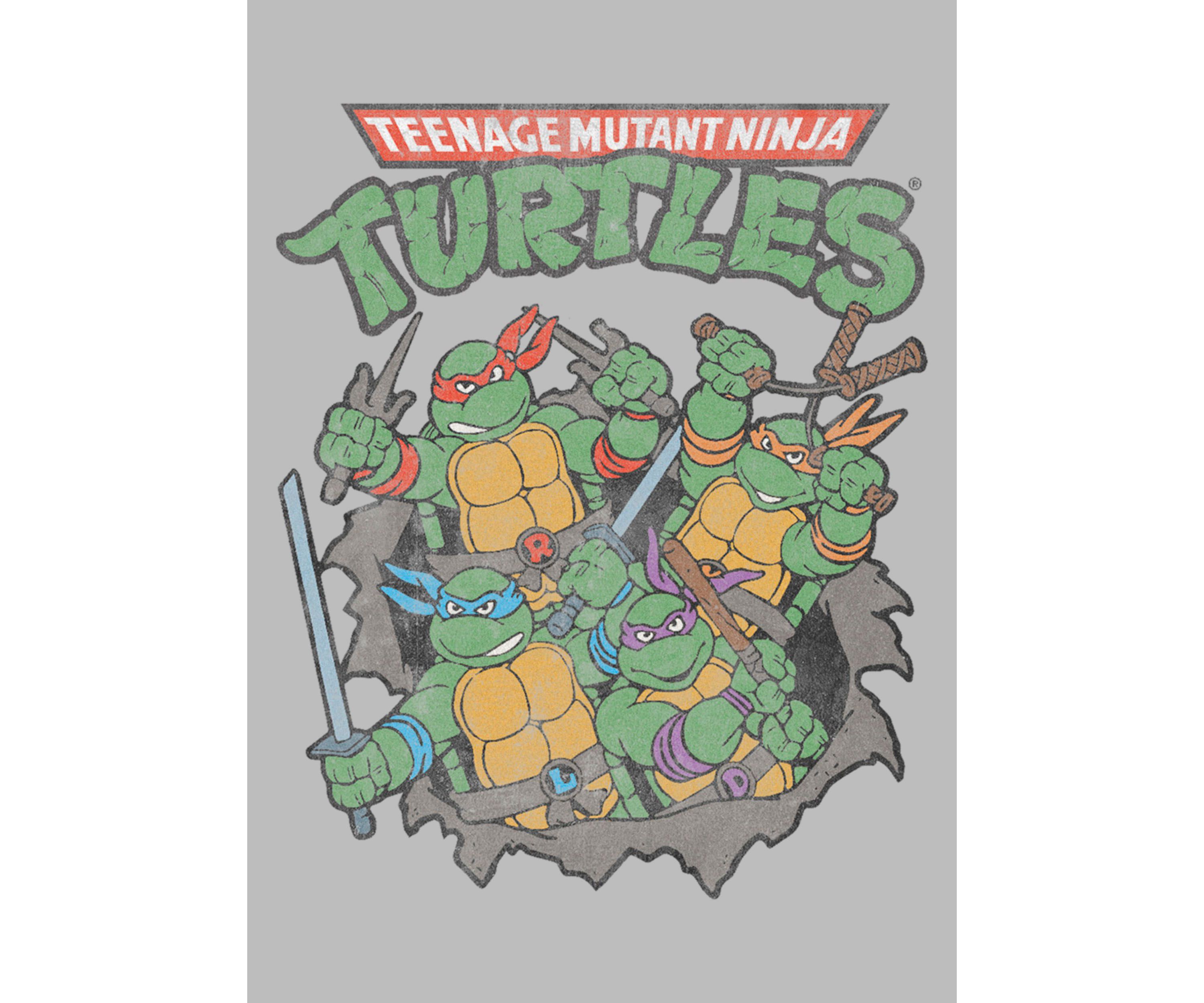 Turtle Group Graphic T-Shirt