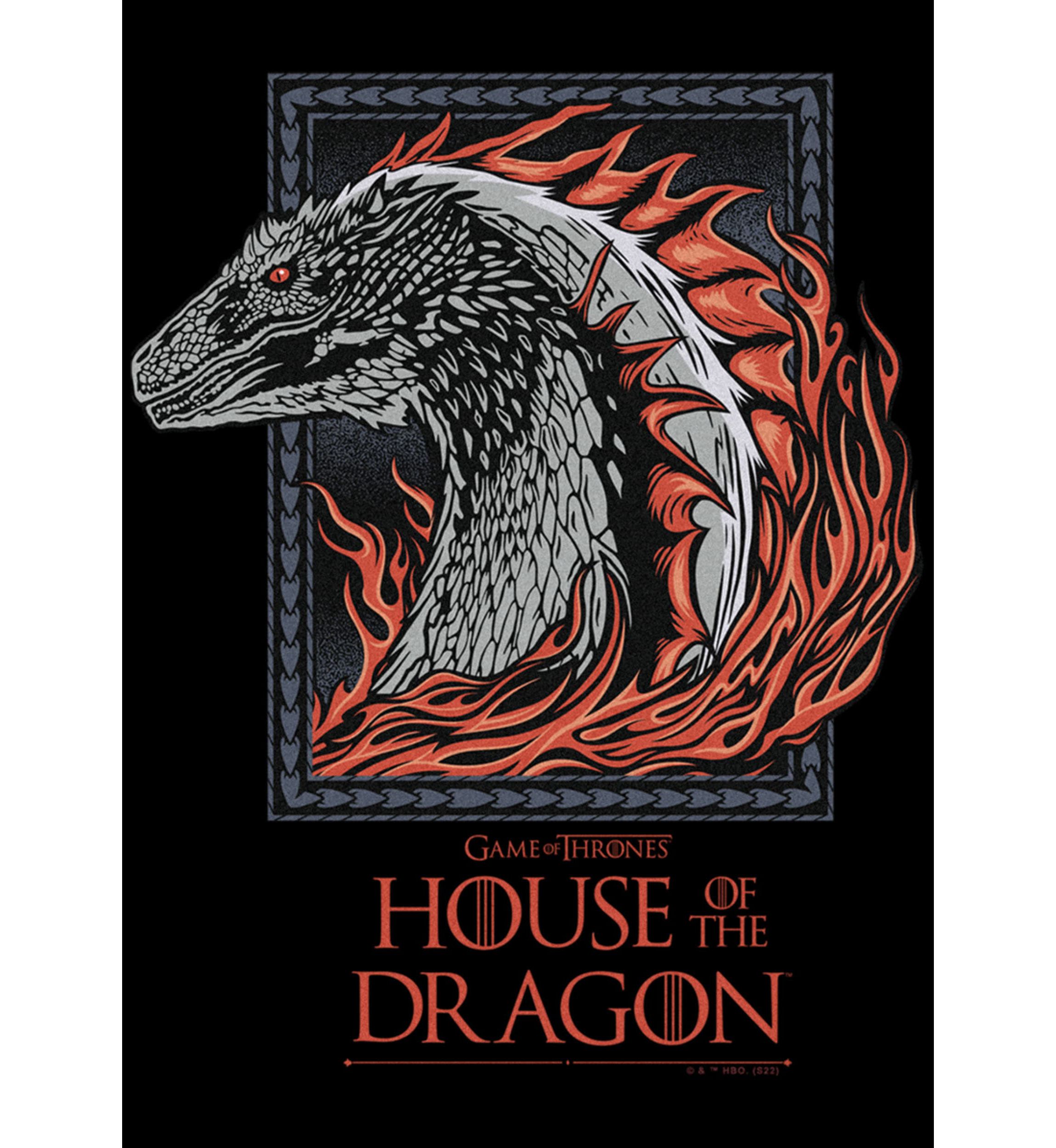 Dragon Badge Graphic T-Shirt