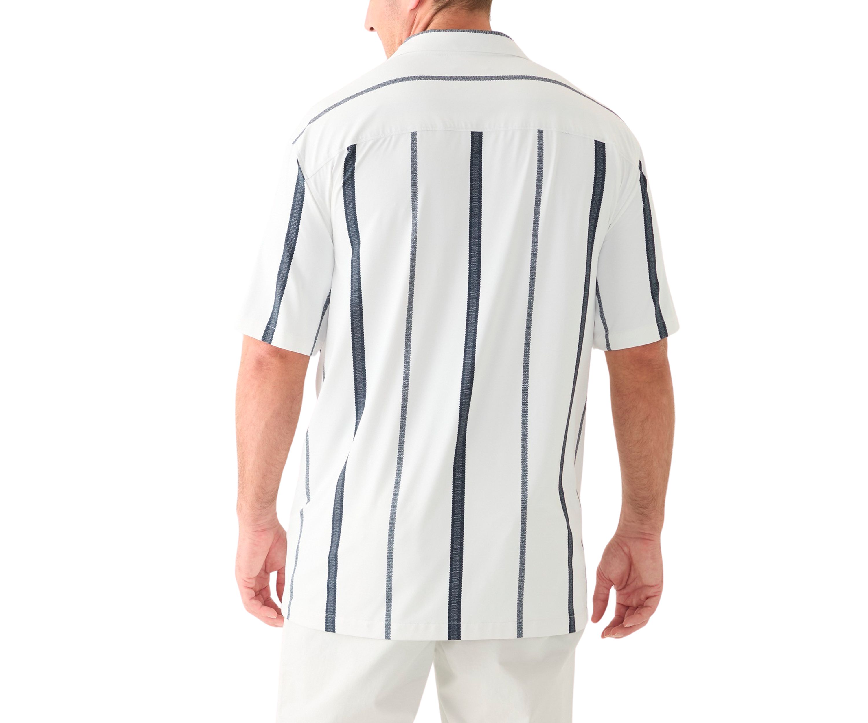 Big & Tall Button Down Stretch Shirt